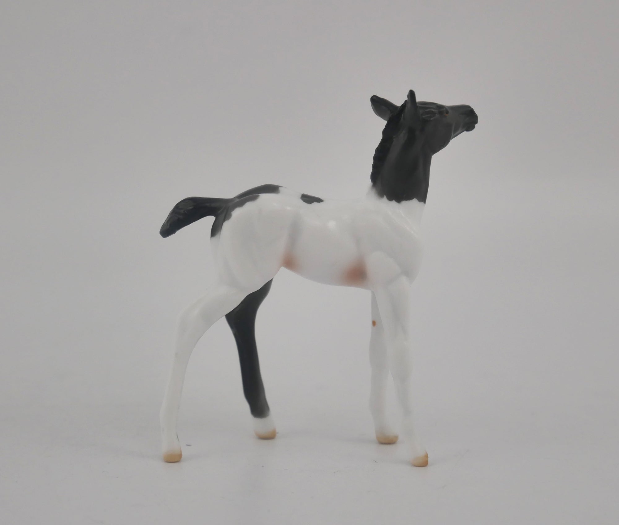 EQUILOCITY 2020 GRAB BAGS