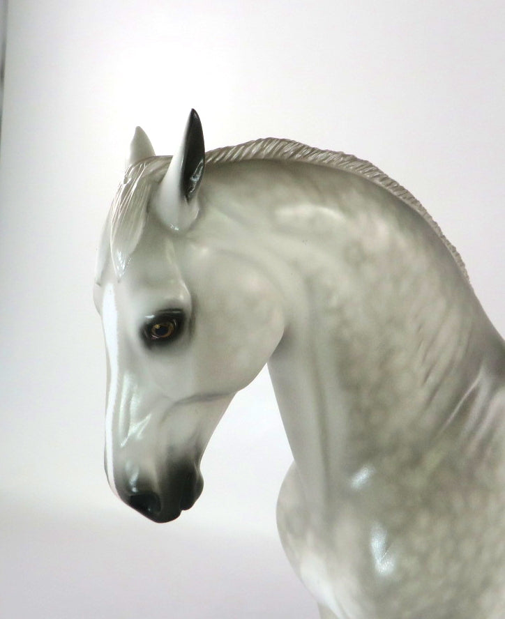 HANG A ROGER - OOAK STAR DAPPLE GREY ANDALUSIAN MODEL HORSE BY SHERYL LEISURE 02/24/20