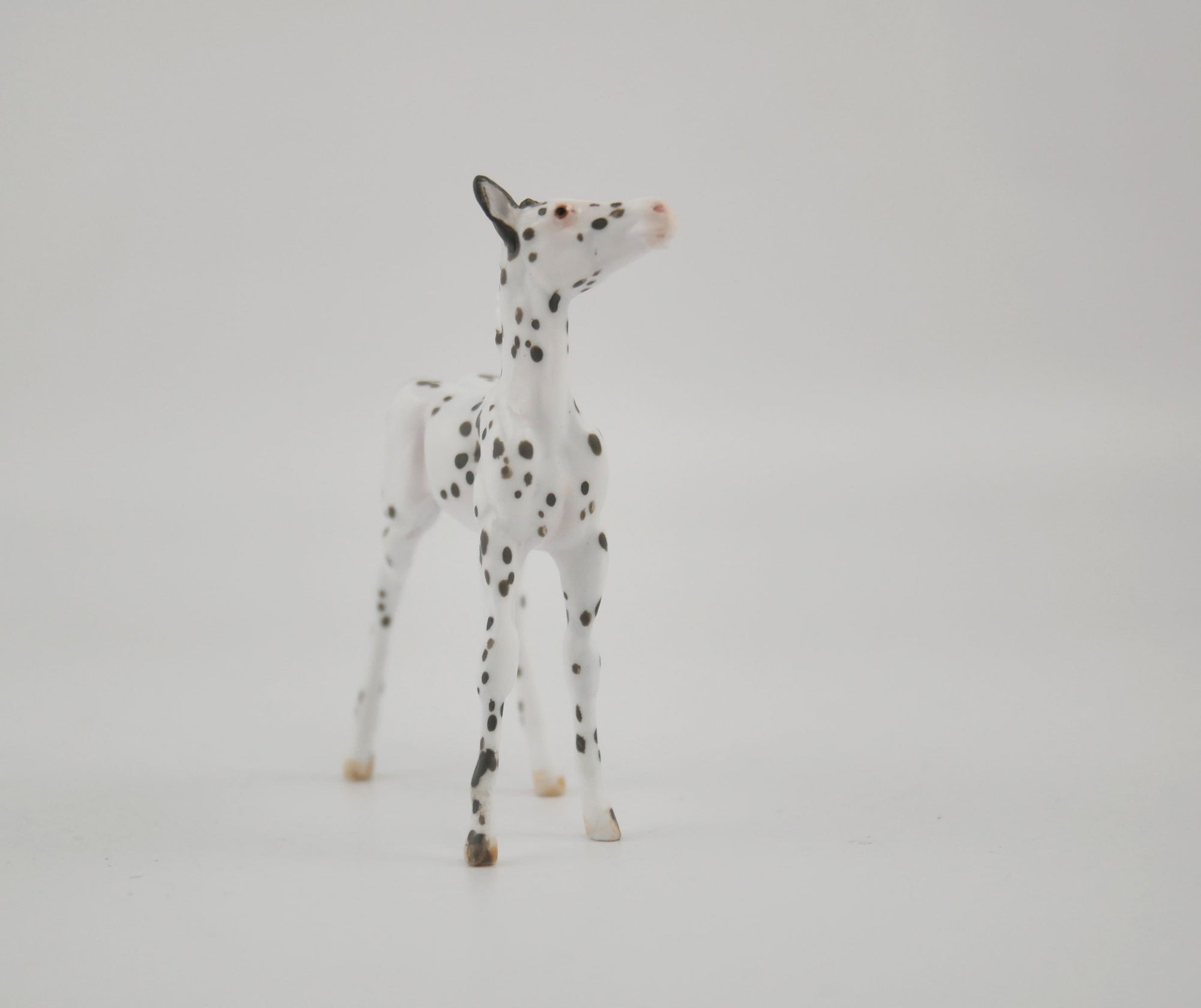 Harmony-OOAK Foal Appaloosa Chip By Andrea MM 2020