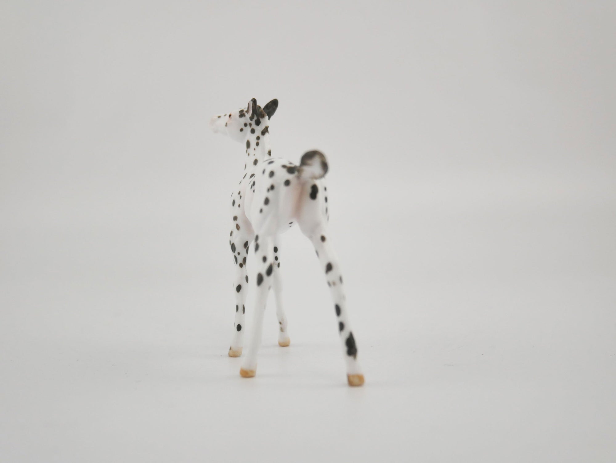 Harmony-OOAK Foal Appaloosa Chip By Andrea MM 2020