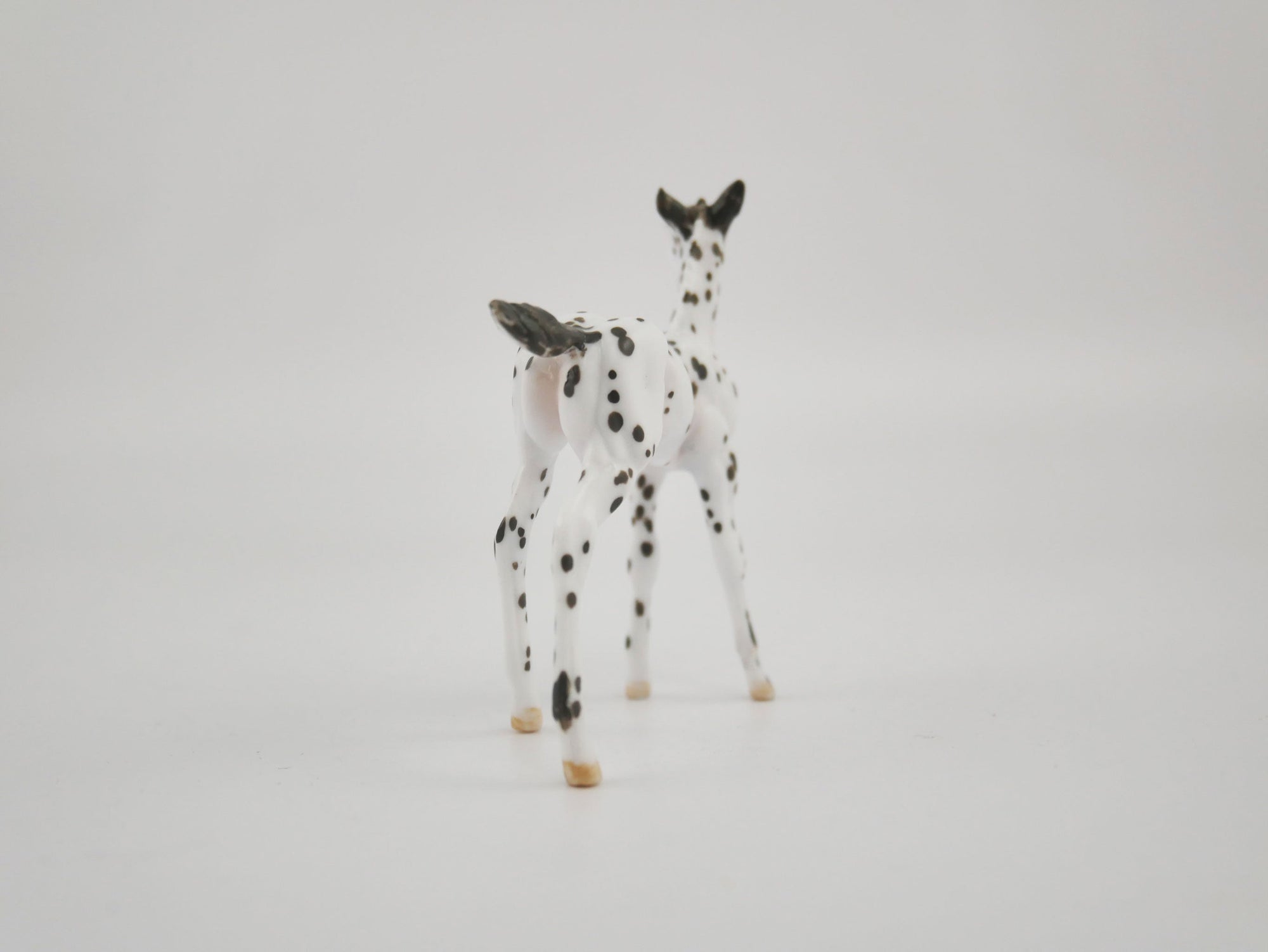 Harmony-OOAK Foal Appaloosa Chip By Andrea MM 2020