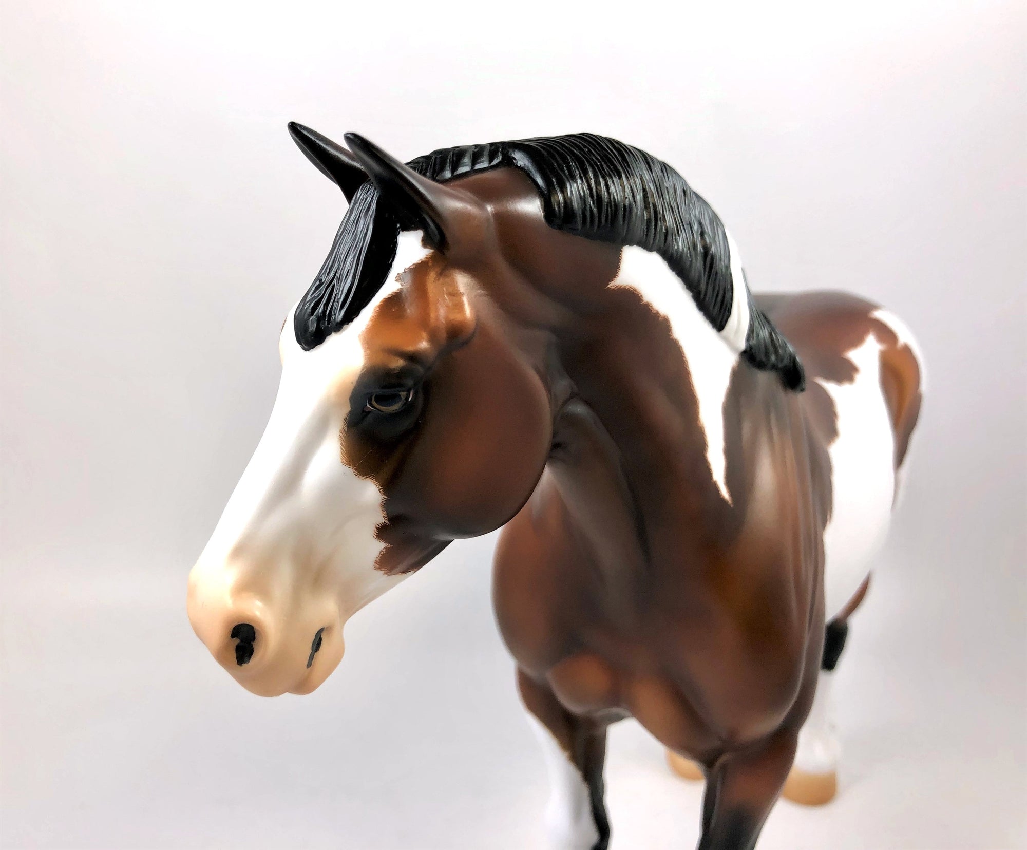 SUNDRESS SUE-OOAK ETCHED DAPPLE BAY PINTO HEAVY DRAFT MARE 8/14/19