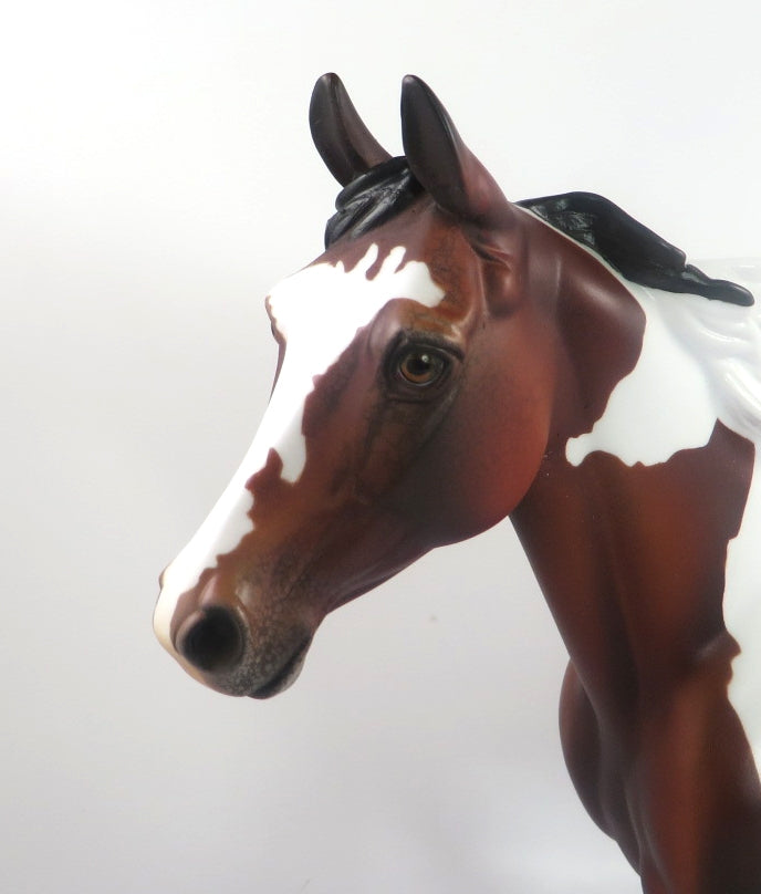 HEISMAN LE-6 BAY PINTALOOSA PALOUSE MODEL HORSE SB 20