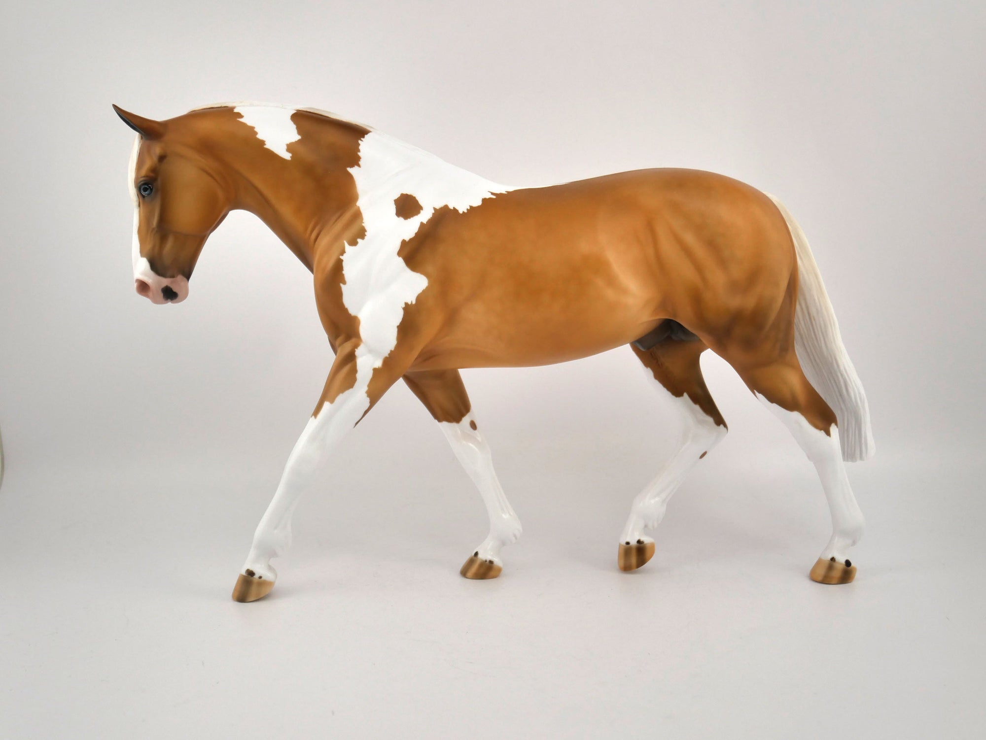 Hello Pumpkin-LE-16 Palomino Paint Irish Draft MM 2020