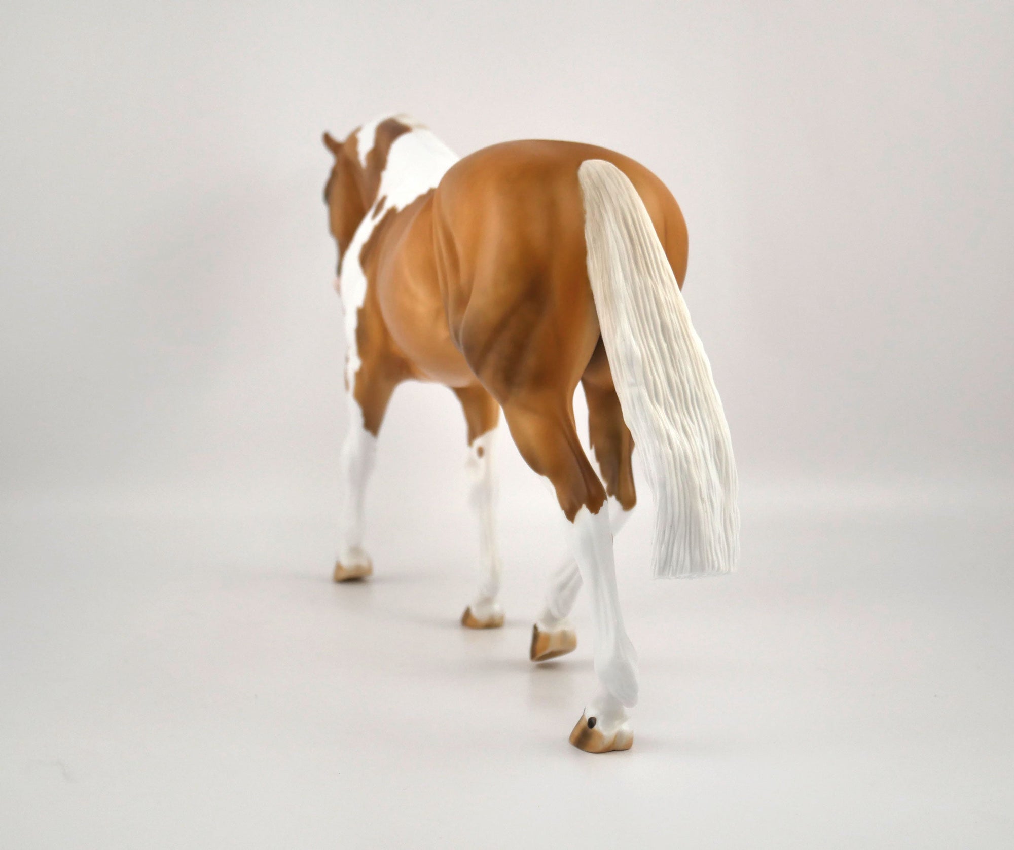 Hello Pumpkin-LE-16 Palomino Paint Irish Draft MM 2020