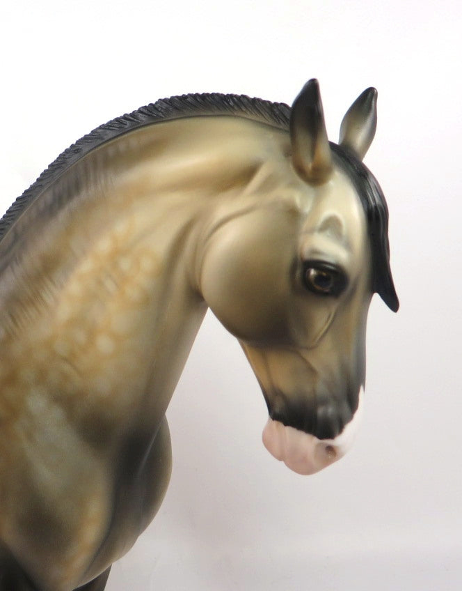 HIDE AND SEEK-OOAK DAPPLE BUCKSKIN ANDALUSIAN MODEL HORSE PJ 2020