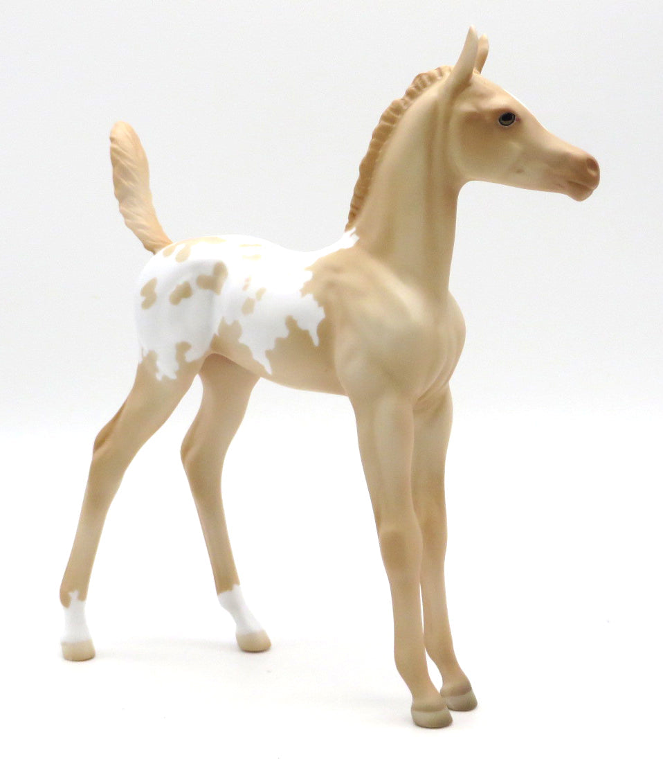 Honey Bun- OOAK Appaloosa Foal Holiday Sale 2021