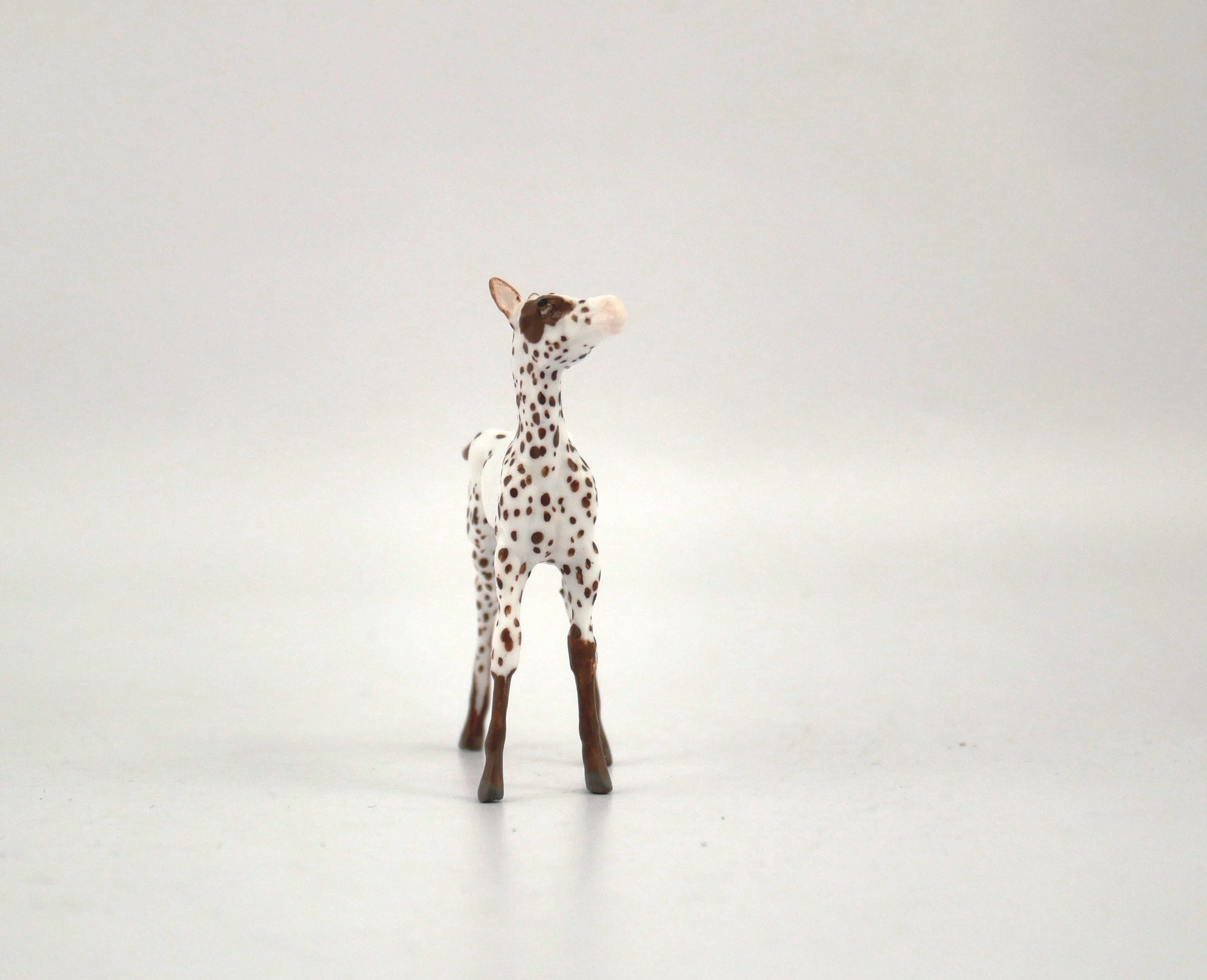 Hosair-OOAK Foal Appaloosa Chip By Andrea MM 2020