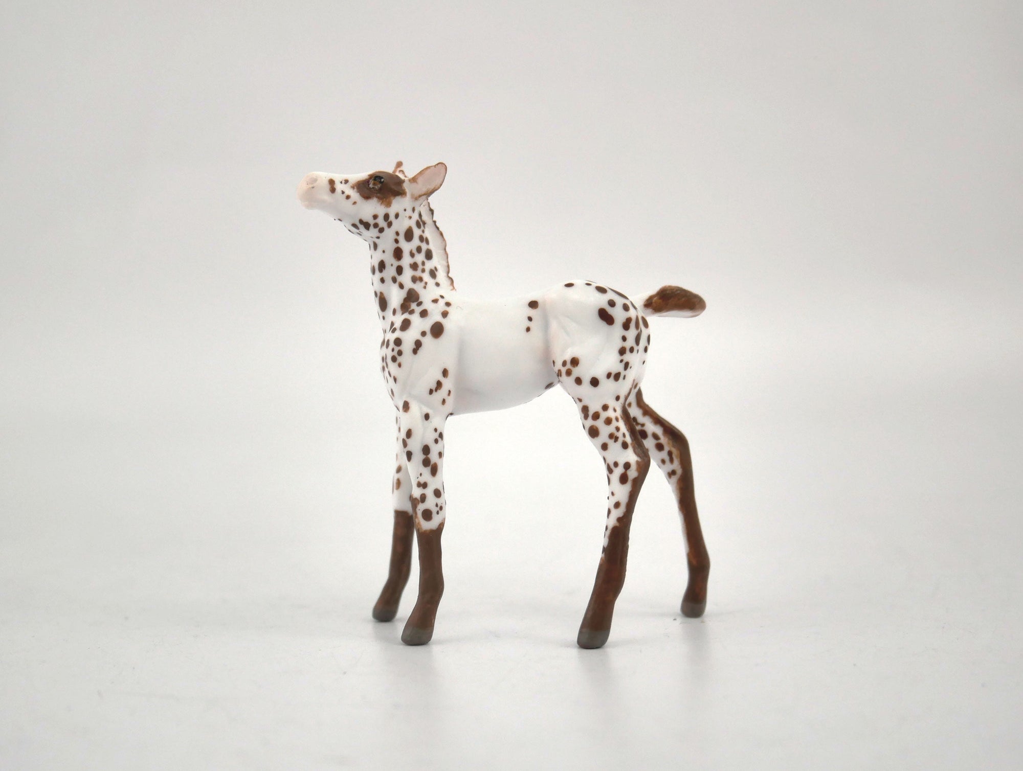 Hosair-OOAK Foal Appaloosa Chip By Andrea MM 2020
