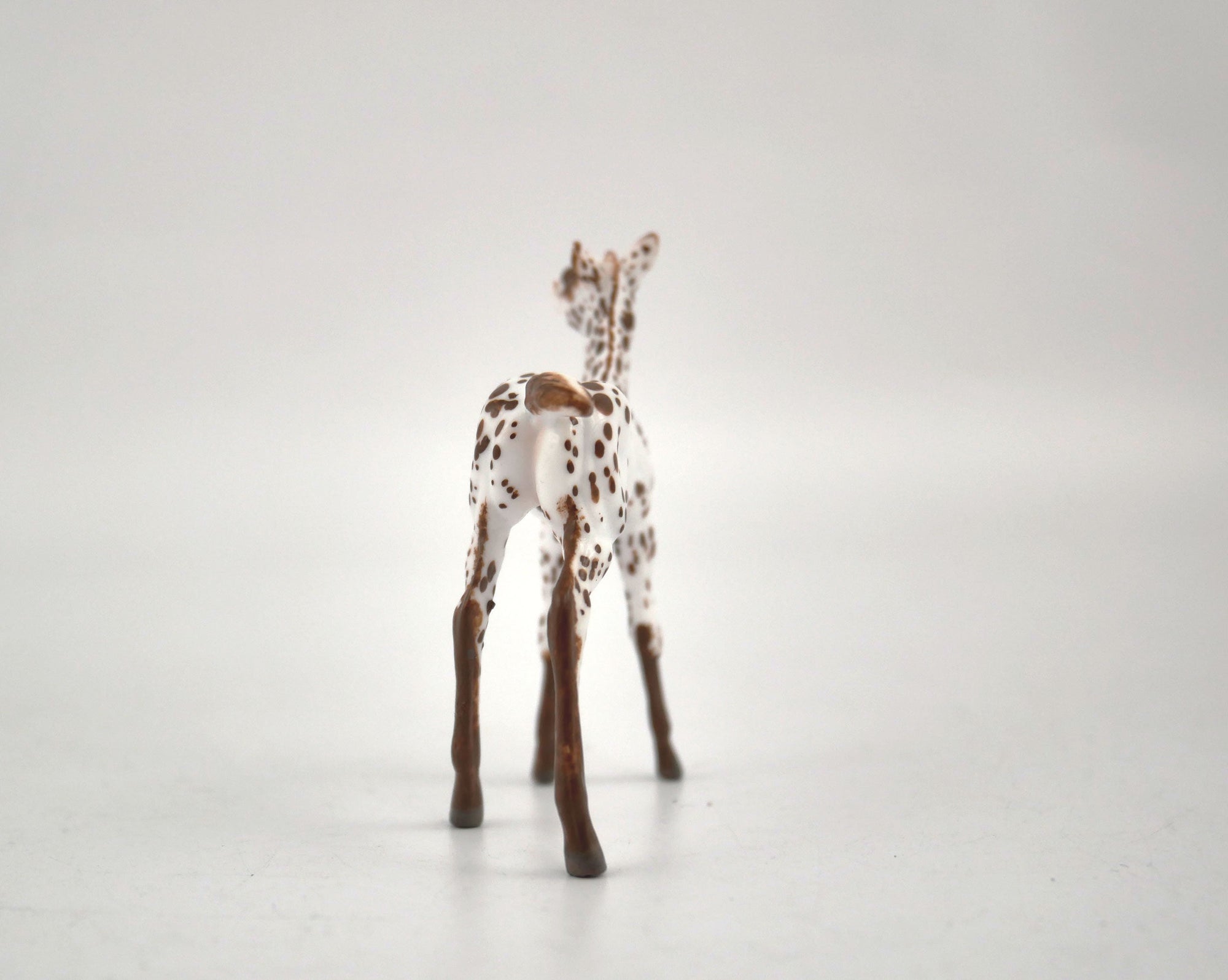 Hosair-OOAK Foal Appaloosa Chip By Andrea MM 2020