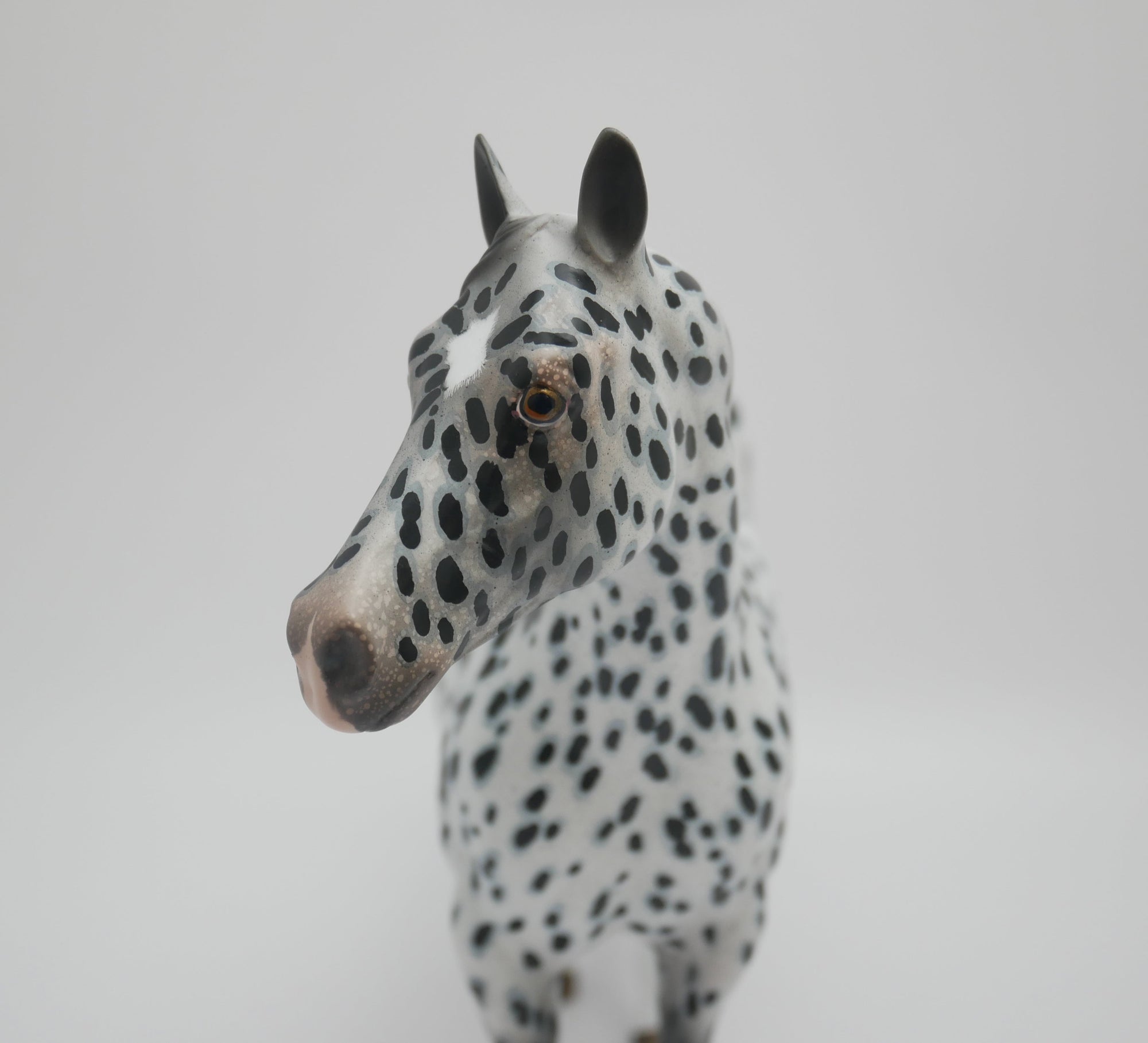 I SEE SPOTS-OOAK LOUD APPALOOSA ISH MODEL HORSE BY AUDREY DIXON 3/13/20