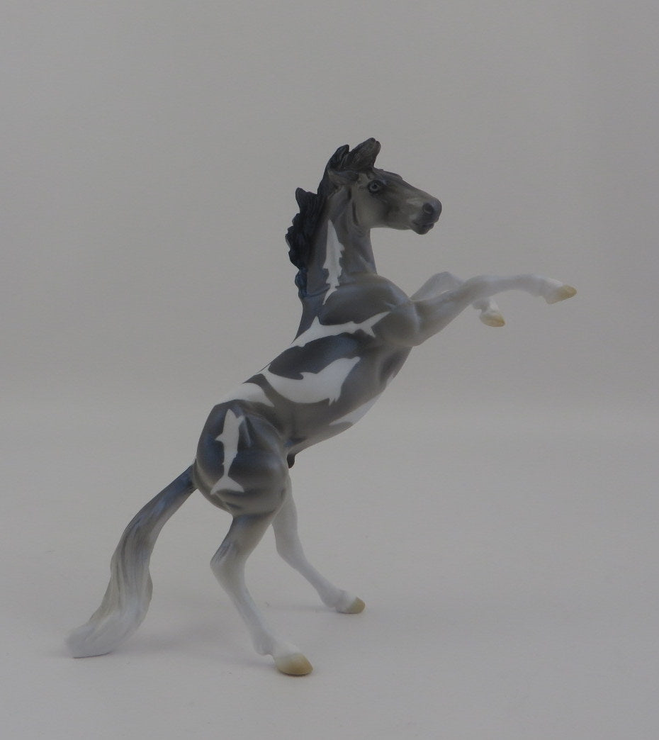 CARD SHARK-OOAK REARING CHIP DECORATOR SHARK WEEK 8/7/2020