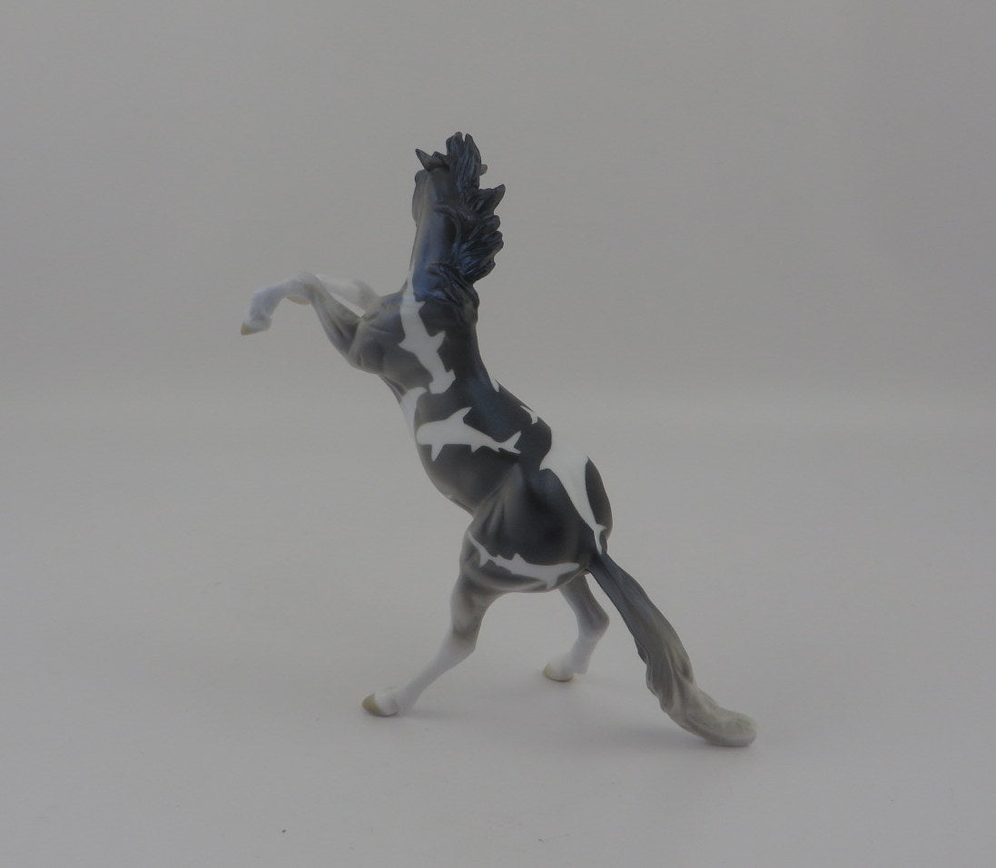 CARD SHARK-OOAK REARING CHIP DECORATOR SHARK WEEK 8/7/2020