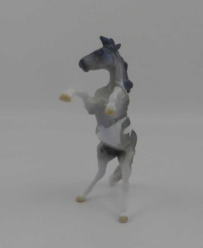 CARD SHARK-OOAK REARING CHIP DECORATOR SHARK WEEK 8/7/2020