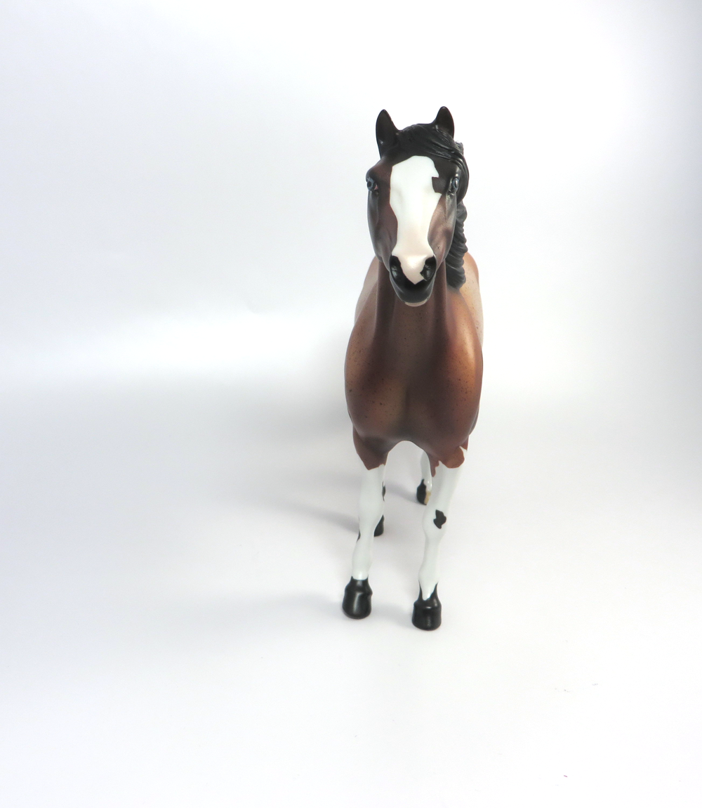 ZEKE- LE-6 RED ROAN MUSTANG CUSTOM BY AMANDA HOSTETLER 3-8-19