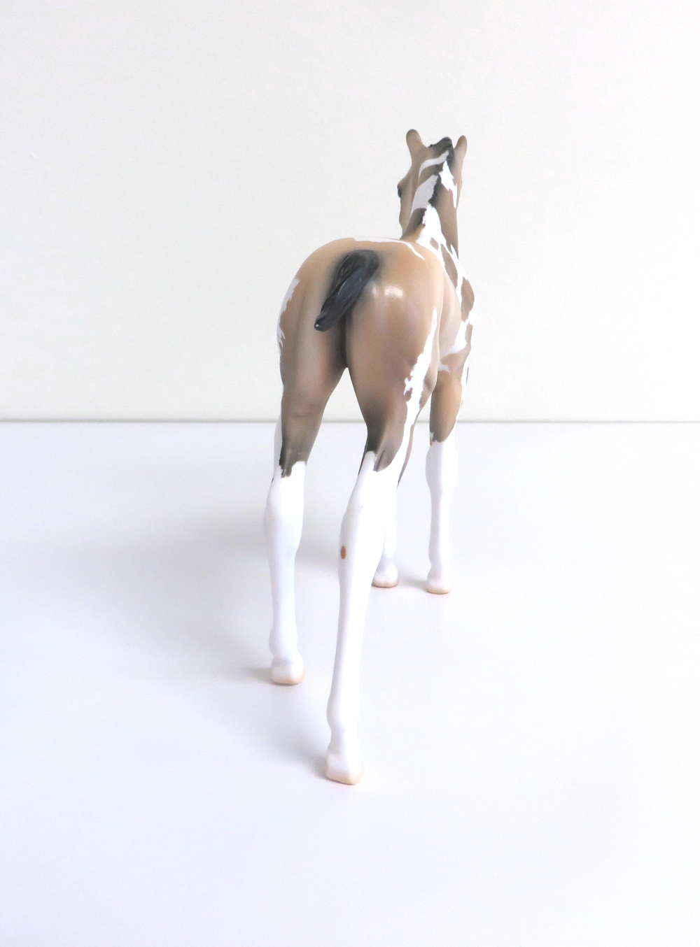 PETAL - LE-5 BUCKSKIN TOBIANO ARABIAN FOAL BY DAWN QUICK 3-12-19