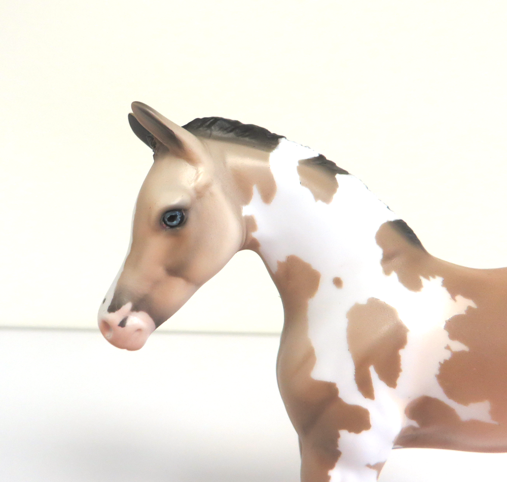 PETAL - LE-5 BUCKSKIN TOBIANO ARABIAN FOAL BY DAWN QUICK 3-12-19