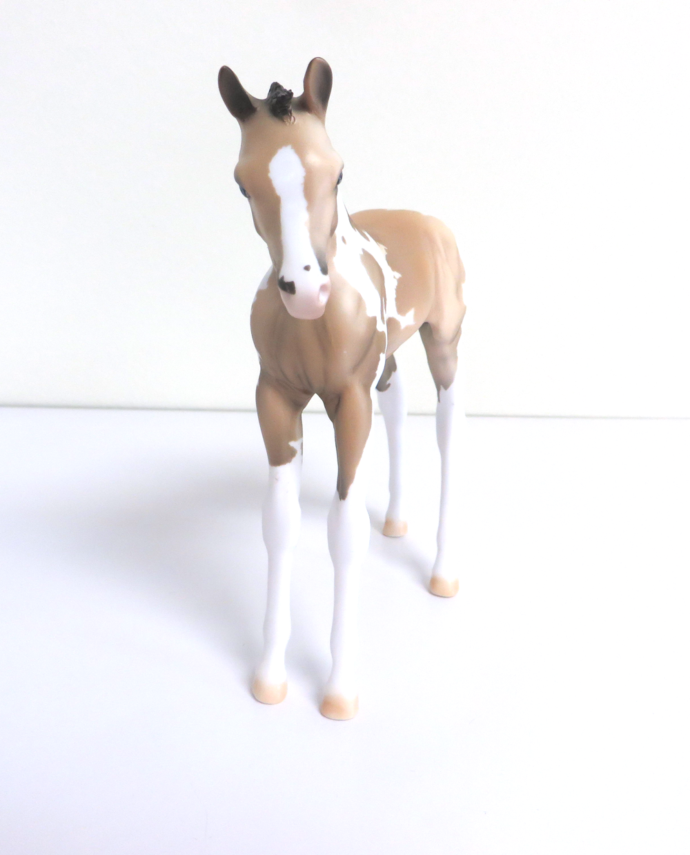PETAL - LE-5 BUCKSKIN TOBIANO ARABIAN FOAL BY DAWN QUICK 3-12-19