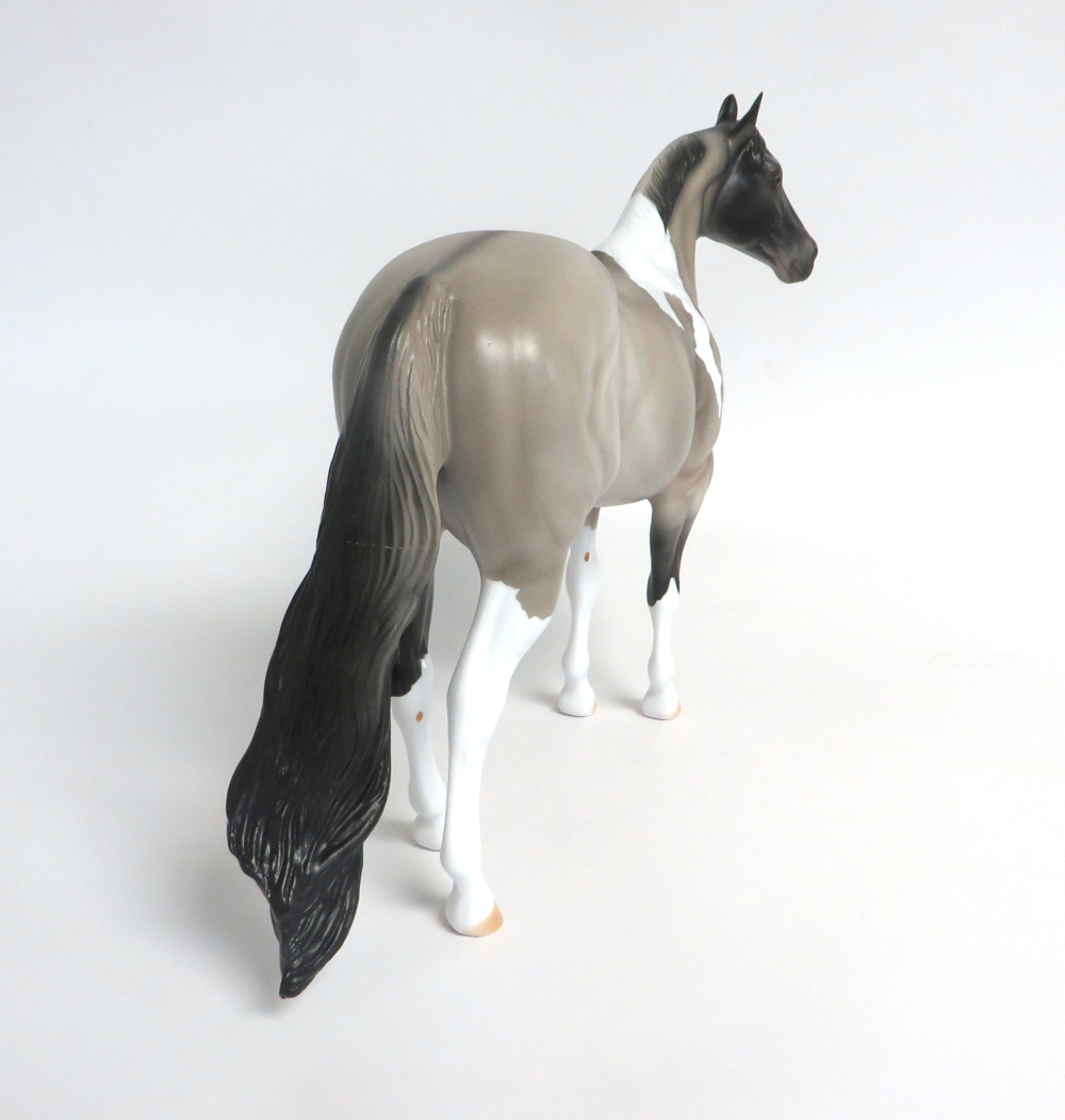 FERGUS-LE-15 GRULLA PINTO ISH MODEL HORSE 3/14/2019