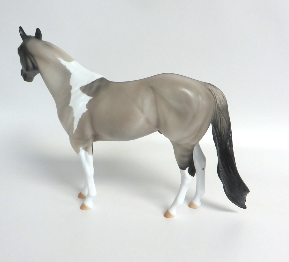 FERGUS-LE-15 GRULLA PINTO ISH MODEL HORSE 3/14/2019