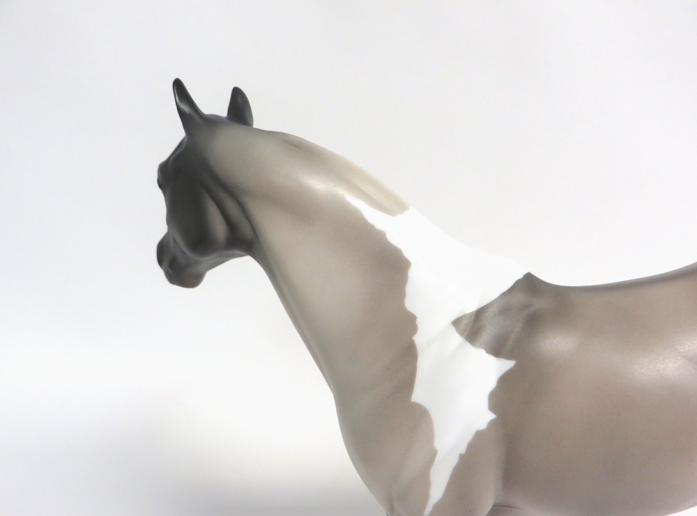 FERGUS-LE-15 GRULLA PINTO ISH MODEL HORSE 3/14/2019