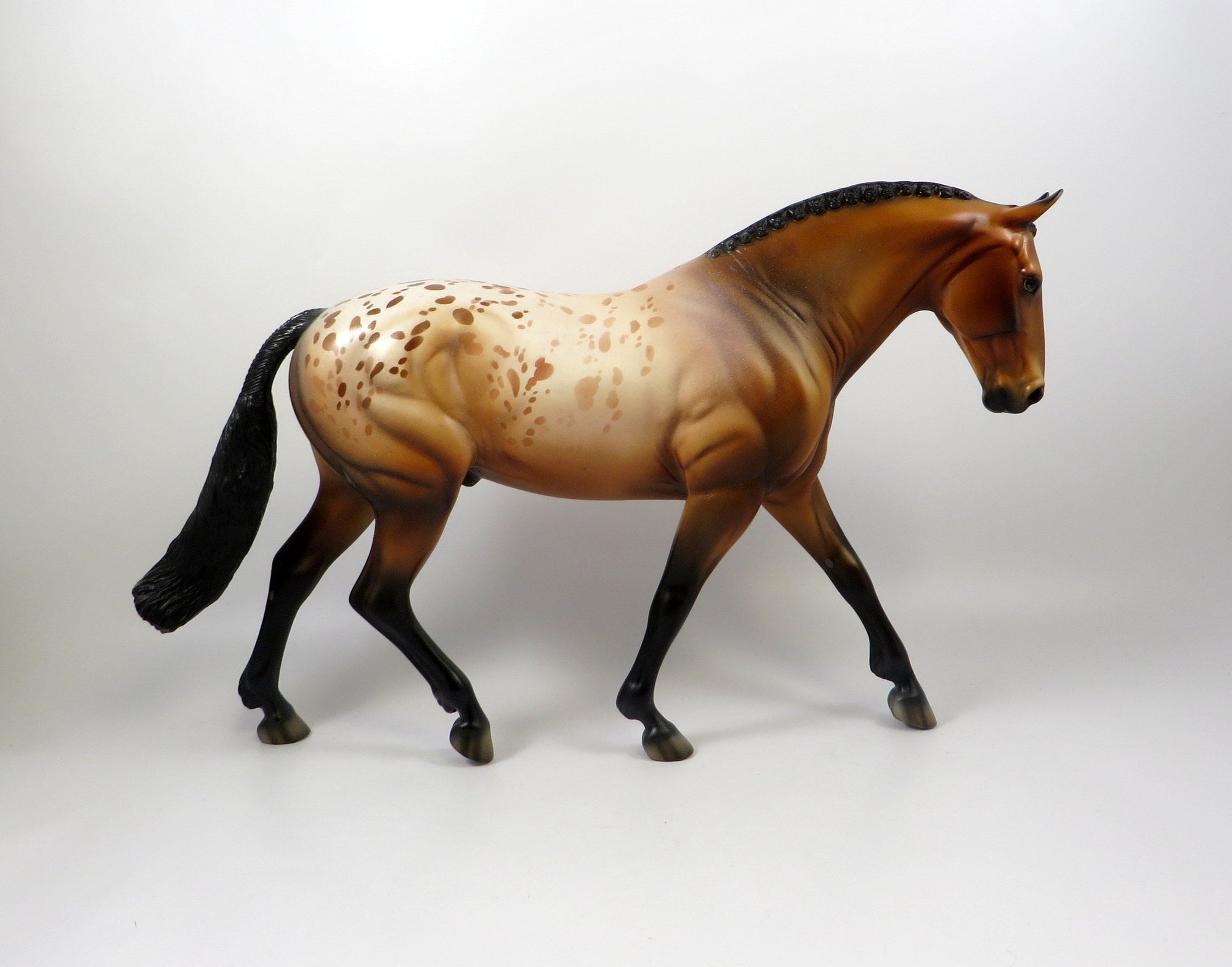 EVITA-OOAK BAY APPALOOSA IRISH DRAFT MODEL HORSE 8/6/19