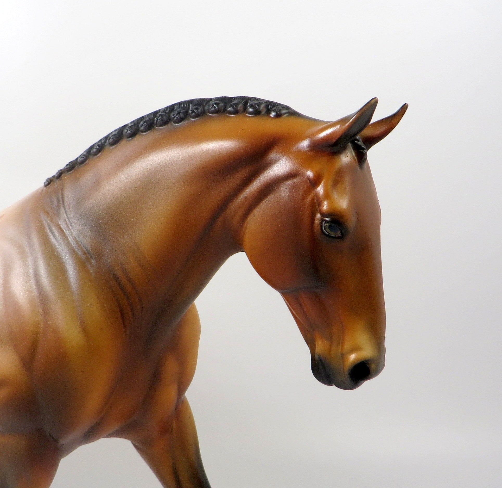 EVITA-OOAK BAY APPALOOSA IRISH DRAFT MODEL HORSE 8/6/19