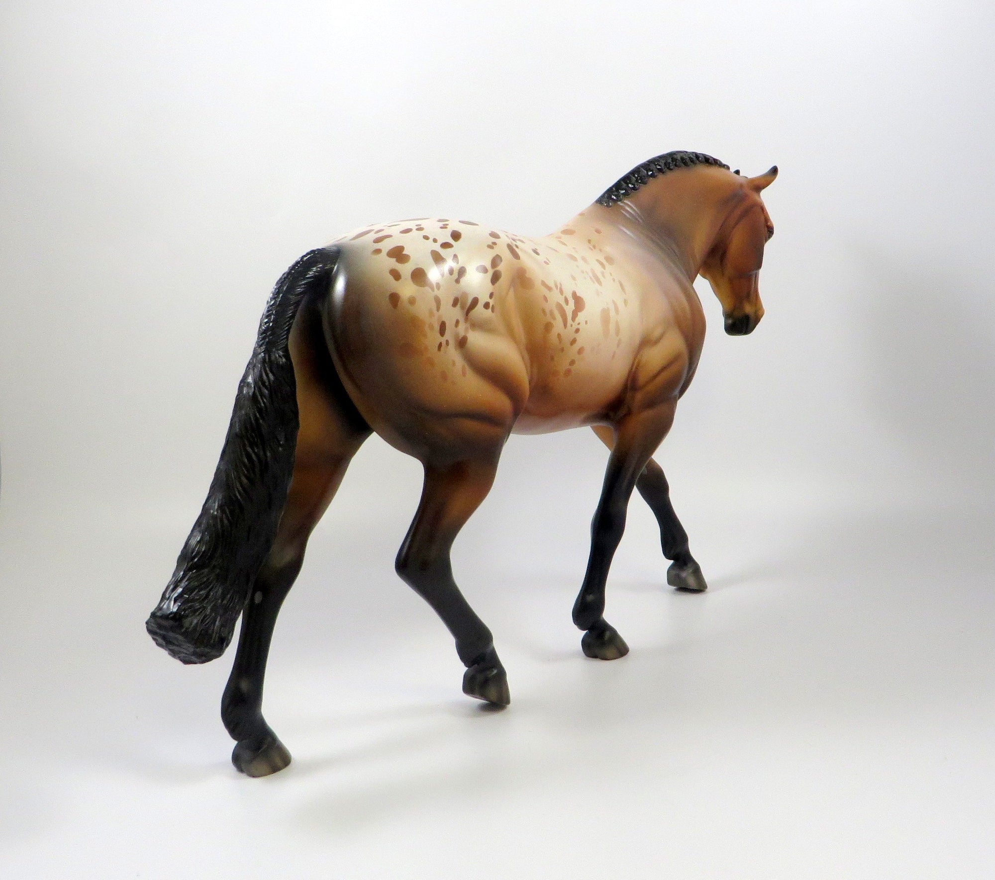EVITA-OOAK BAY APPALOOSA IRISH DRAFT MODEL HORSE 8/6/19
