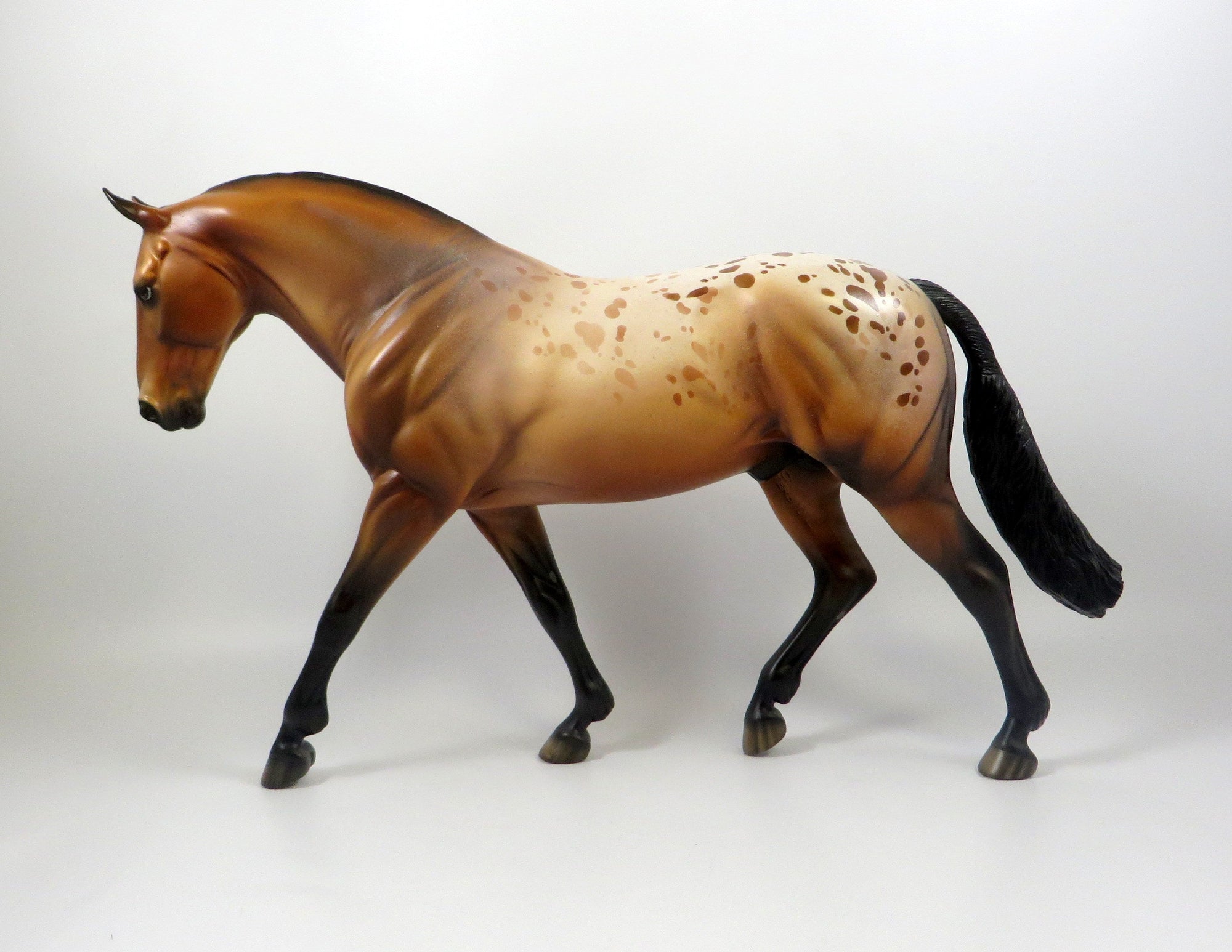 EVITA-OOAK BAY APPALOOSA IRISH DRAFT MODEL HORSE 8/6/19