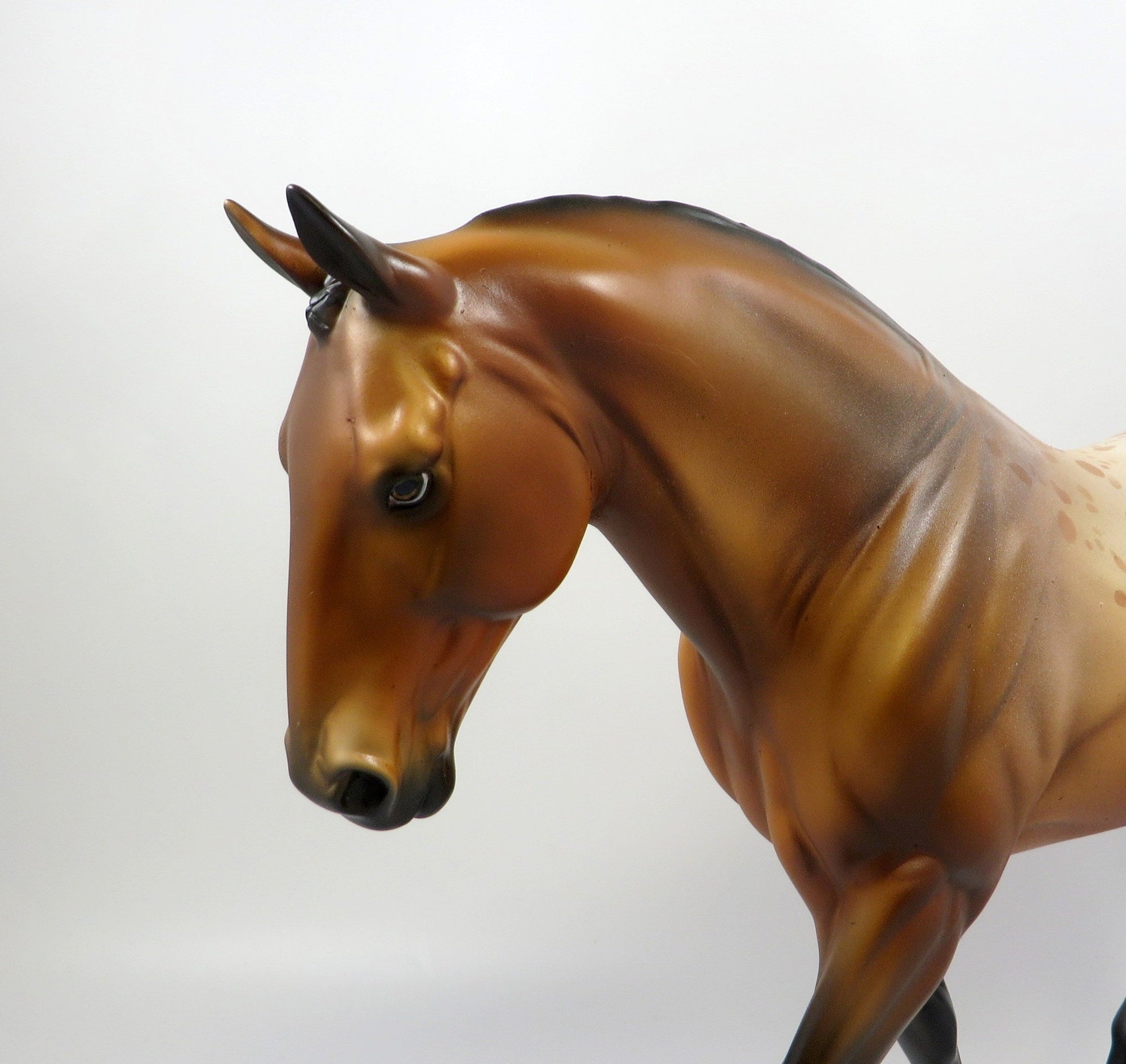 EVITA-OOAK BAY APPALOOSA IRISH DRAFT MODEL HORSE 8/6/19