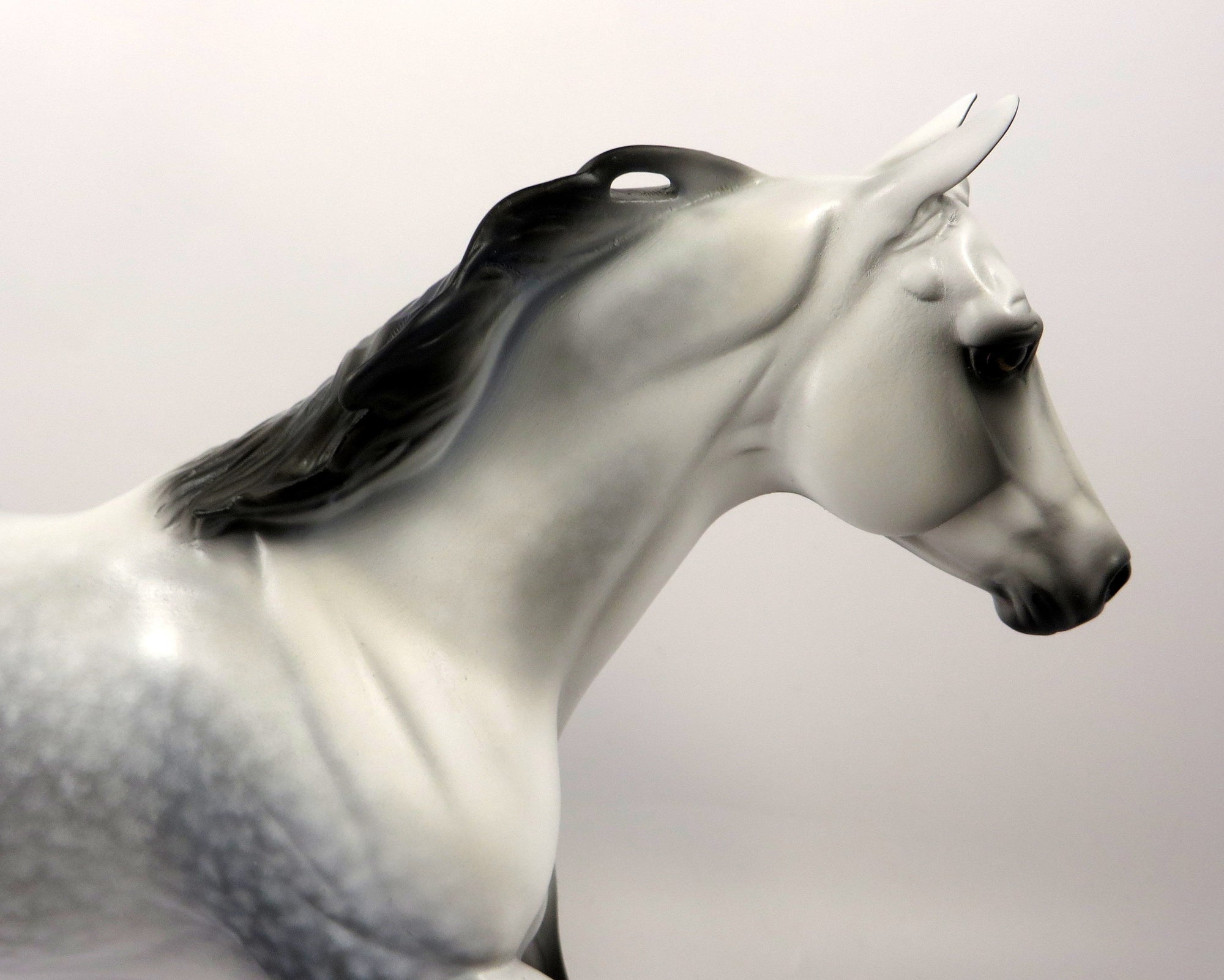 RUNNING BEAR-OOAK STAR DAPPLE GREY RUNNING QUARTER HORSE BY AUDREY DIXON 8/14/19