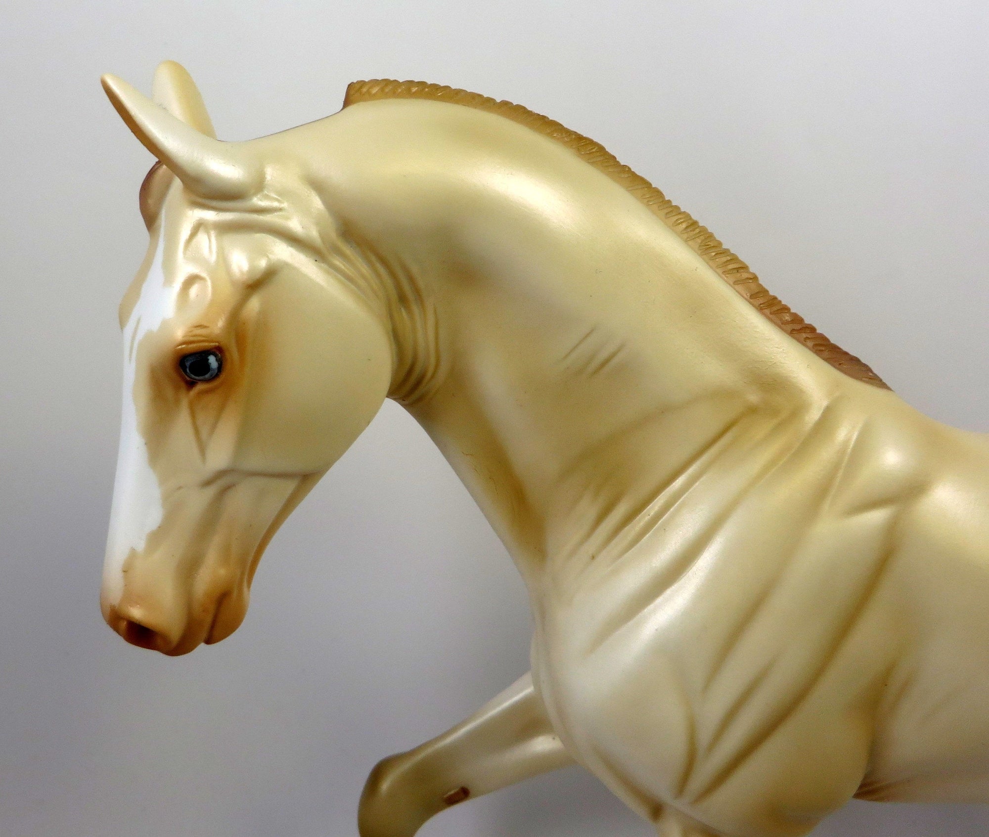 CHAMPAGNE DREAMS-OOAK PERLINO TENNESSEE WALKING HORSE 8/14/19