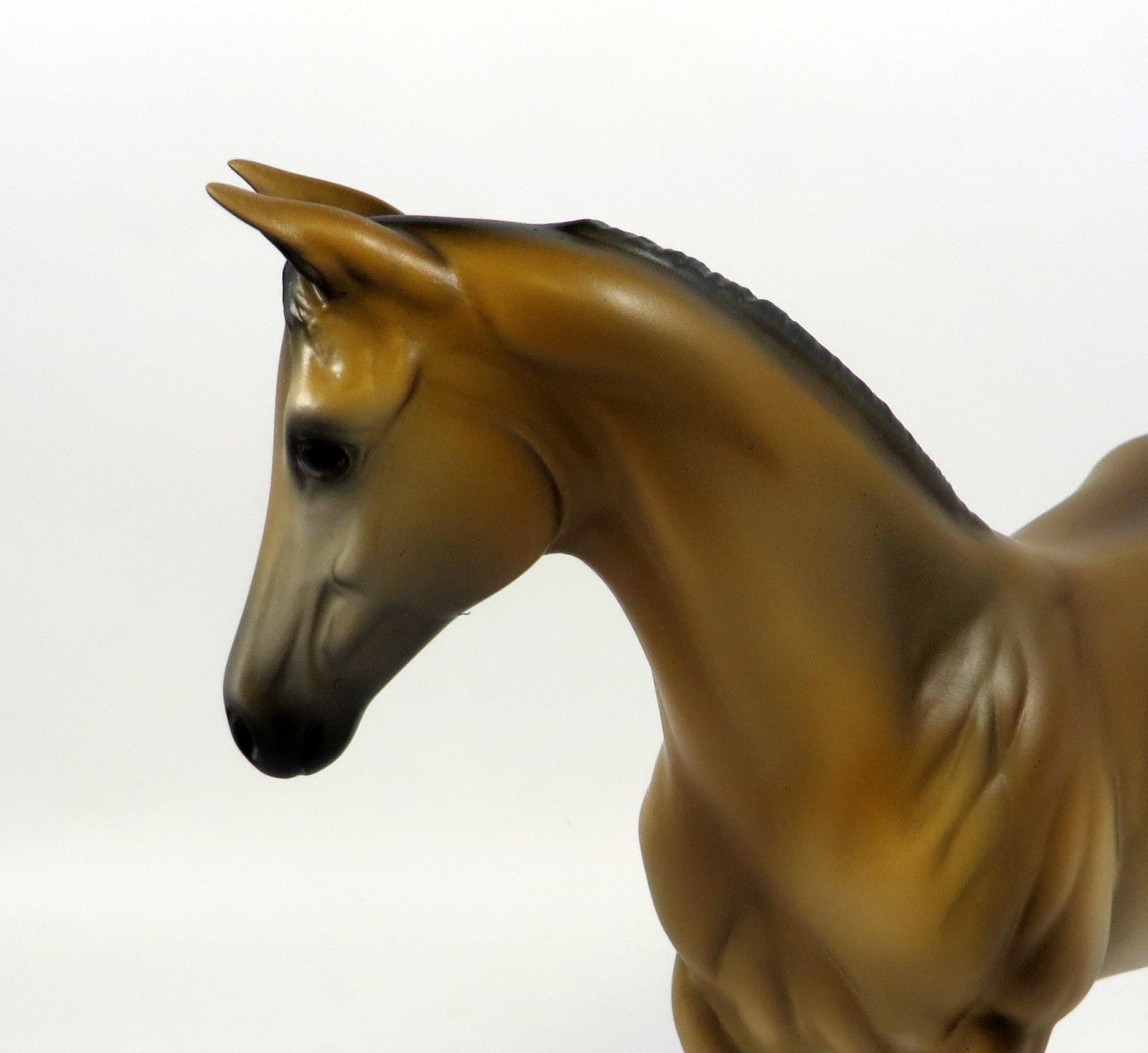 TOP DOLLAR-OOAK BABY BUCKSKIN WEANLING BY MISSY FOX 8/16/19