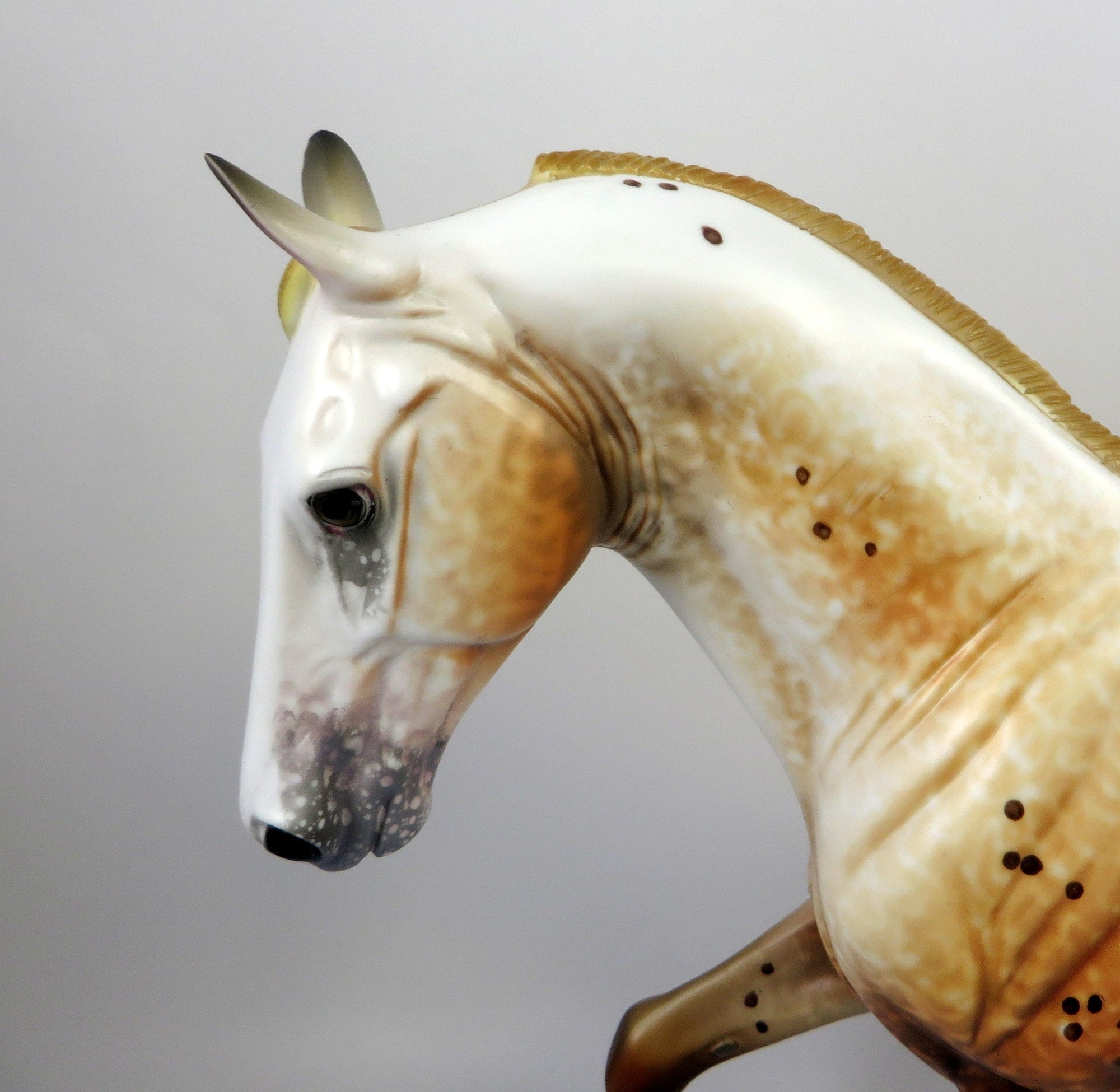 DOWNTOWN JOE-OOAK CHESTNUT APPALOOSA TWH MODEL HORSE BY AL 8/16/19