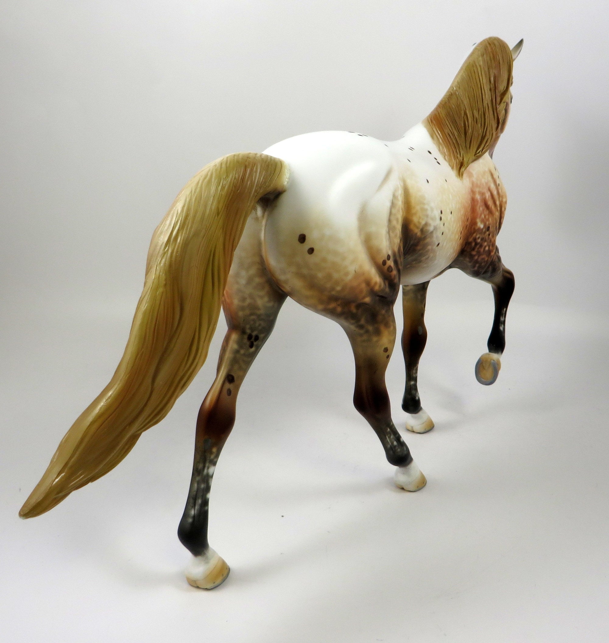 DOWNTOWN JOE-OOAK CHESTNUT APPALOOSA TWH MODEL HORSE BY AL 8/16/19