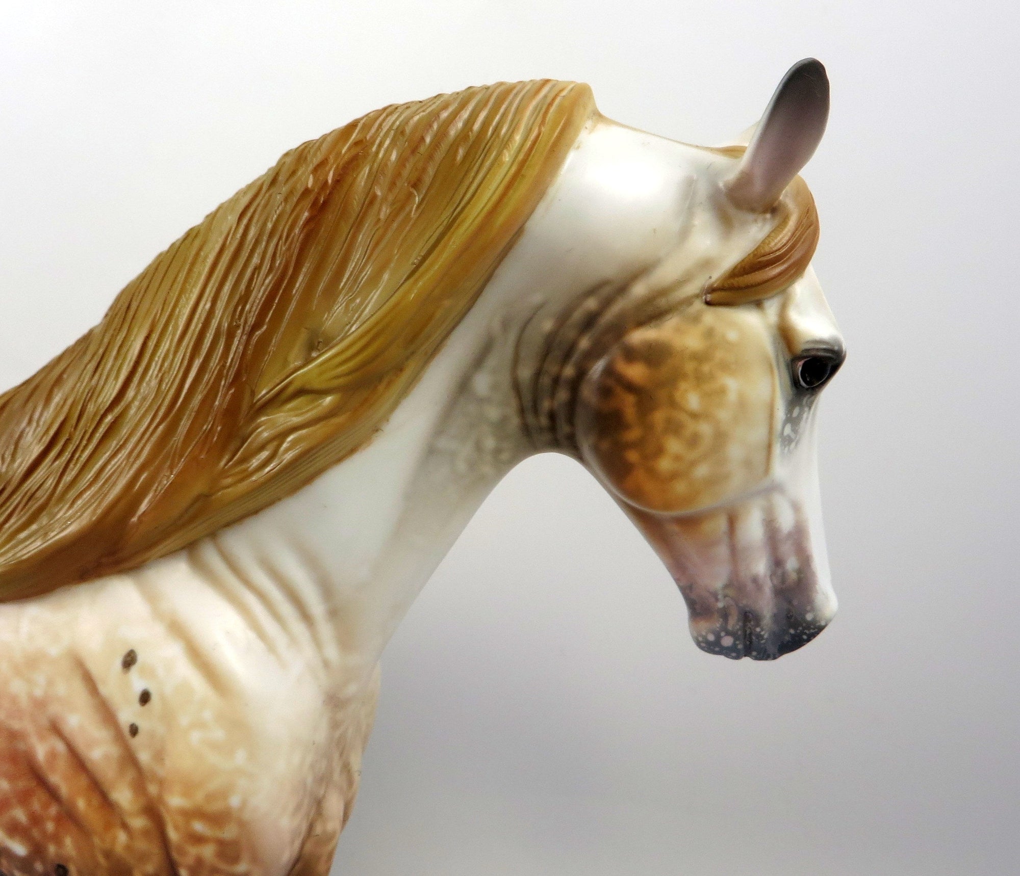 DOWNTOWN JOE-OOAK CHESTNUT APPALOOSA TWH MODEL HORSE BY AL 8/16/19