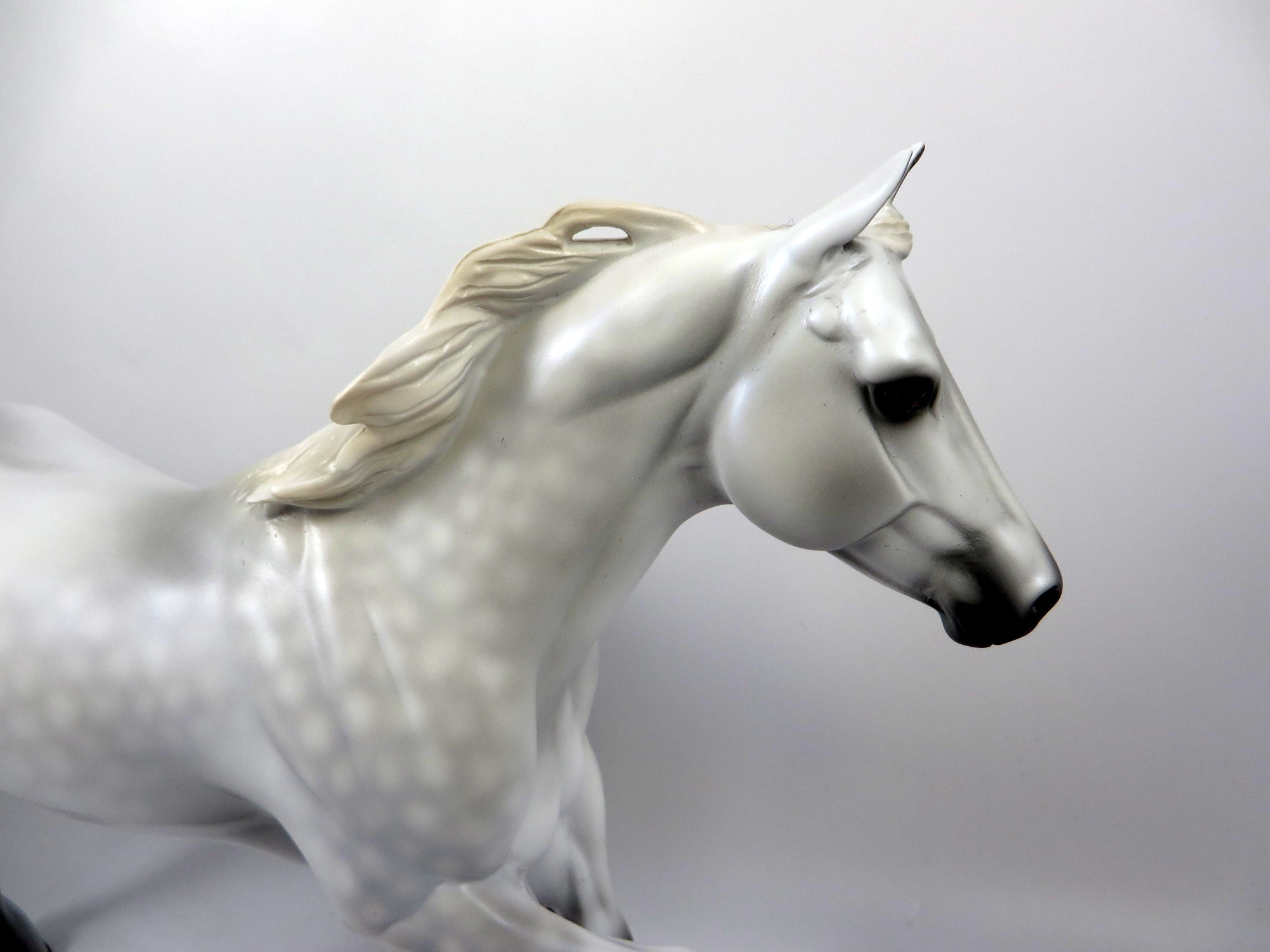 DIESEL-LE-4 DAPPLE GREY RUNNING QUARTER HORSE BY MISSY FOX 8/16/19