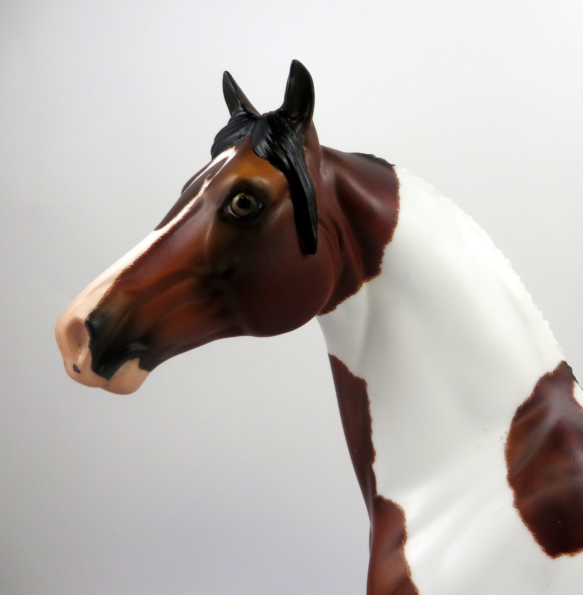 AIREDALIE-OOAK ETCHED DAPPLE PINTO MORGAN MODEL HORSE 8/26/19