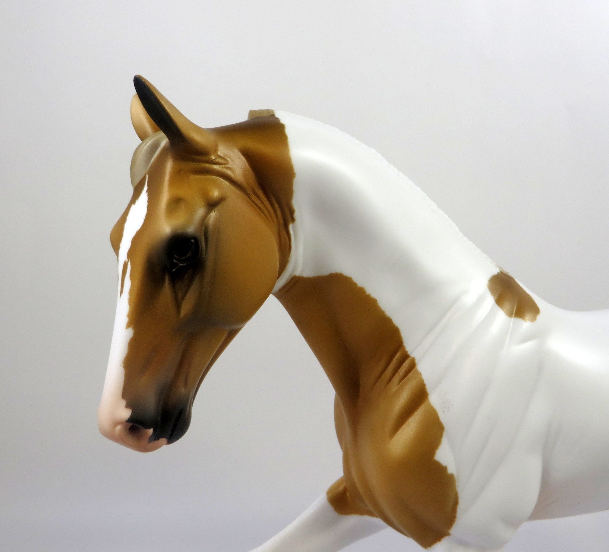 GOLDENDOODLE-OOAK PALOMINO PINTO TENNESSEE WALKER MODEL HORSE 8/26/19