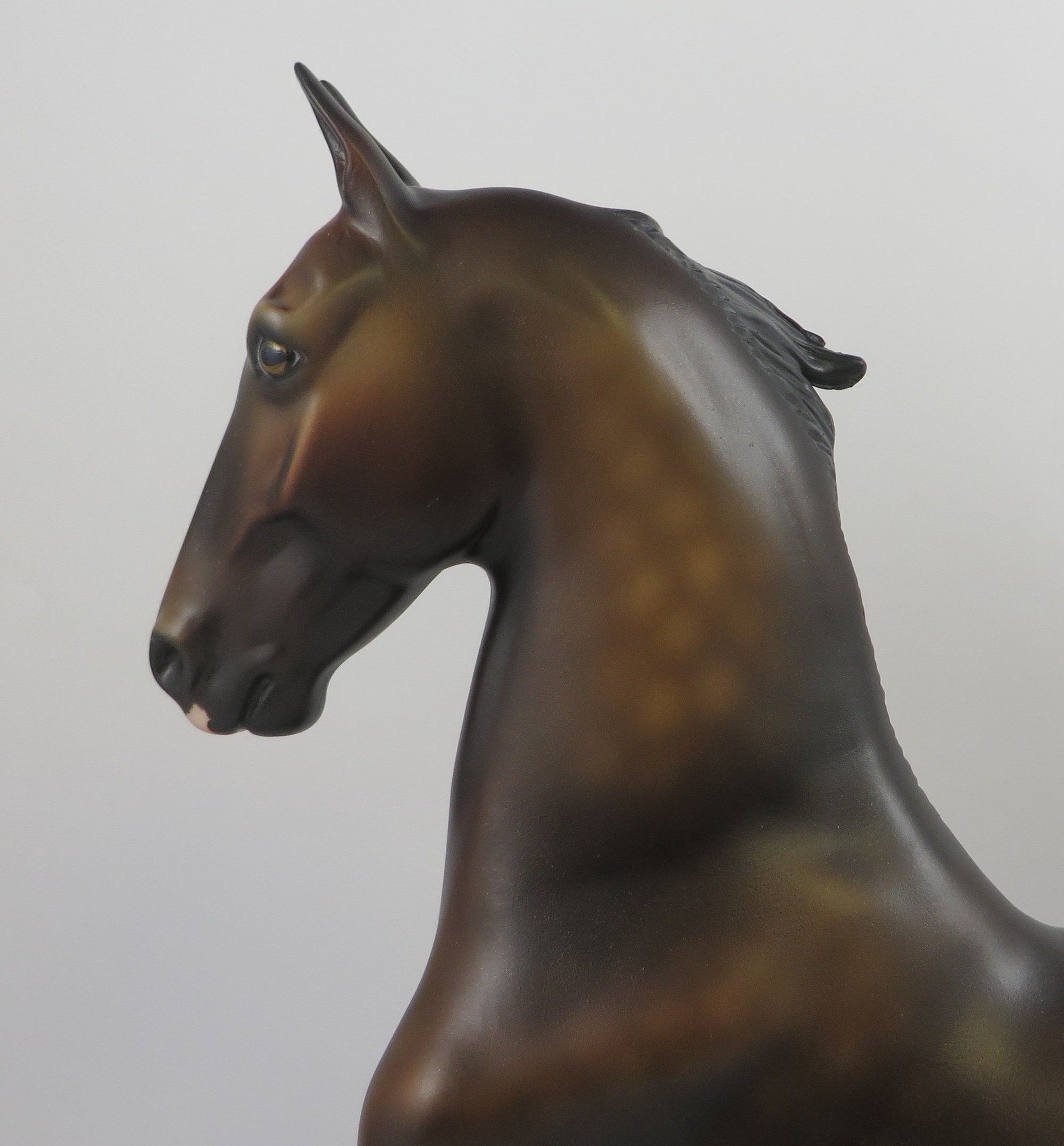 PEMBROKE - OOAK DAPPLED SOOTY BUCKSKIN SADDLEBRED MODEL HORSE BY MISSY FOX 8/27/19