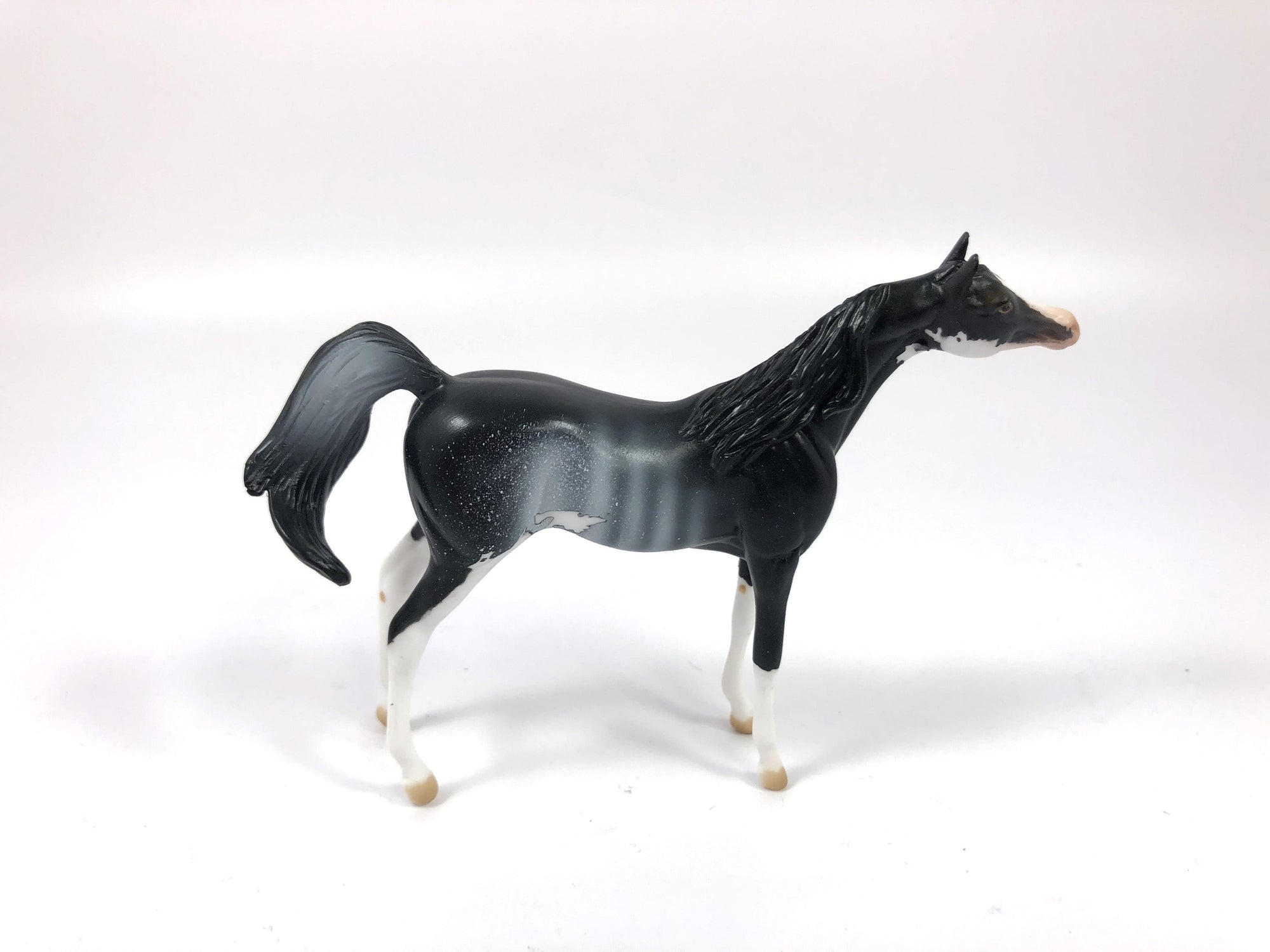MINI ME HOUNDSTOOTH -- LE-15 --- BLACK RABICANO ARAB CHIP CM BY AUDREY DIXON 5/10/19