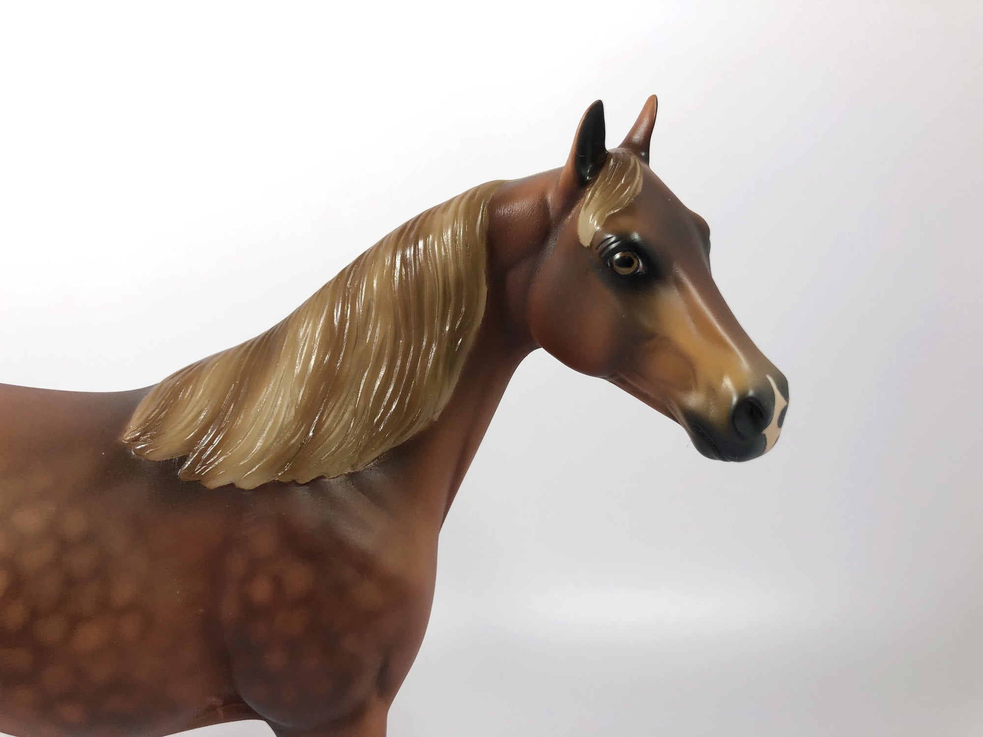 TATTERSALL-LE-15 DAPPLE CHESTNUT ISH MODEL HORSE SHCF 2019