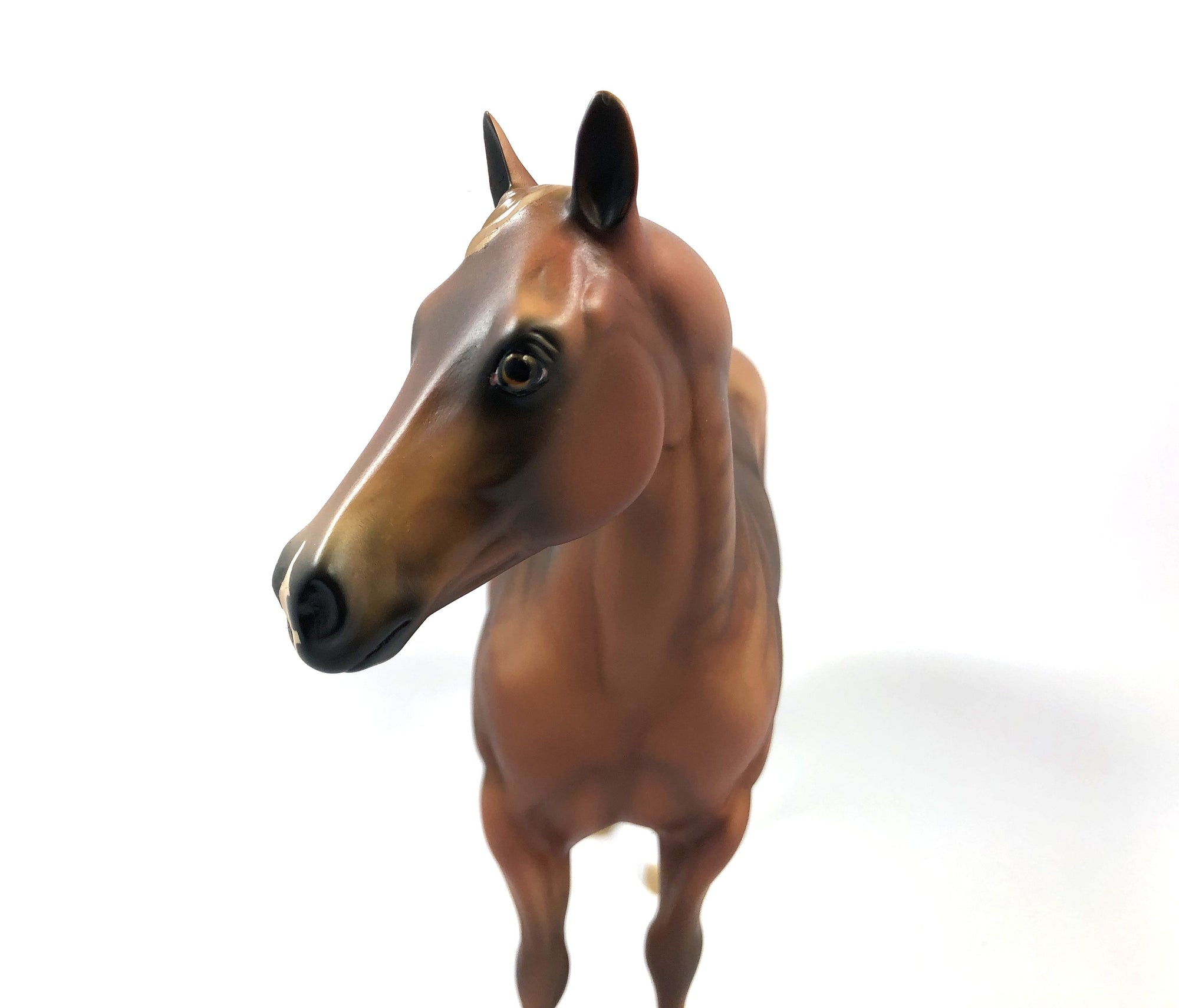 TATTERSALL-LE-15 DAPPLE CHESTNUT ISH MODEL HORSE SHCF 2019