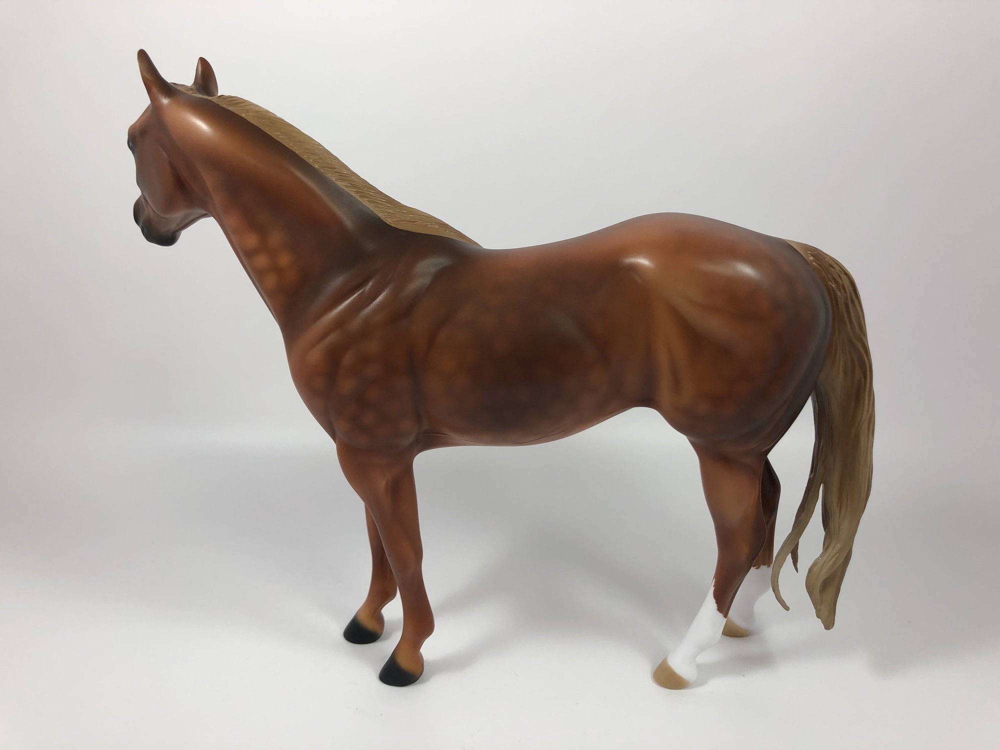 TATTERSALL-LE-15 DAPPLE CHESTNUT CUSTOM ISH MODEL HORSE SHCF 2019