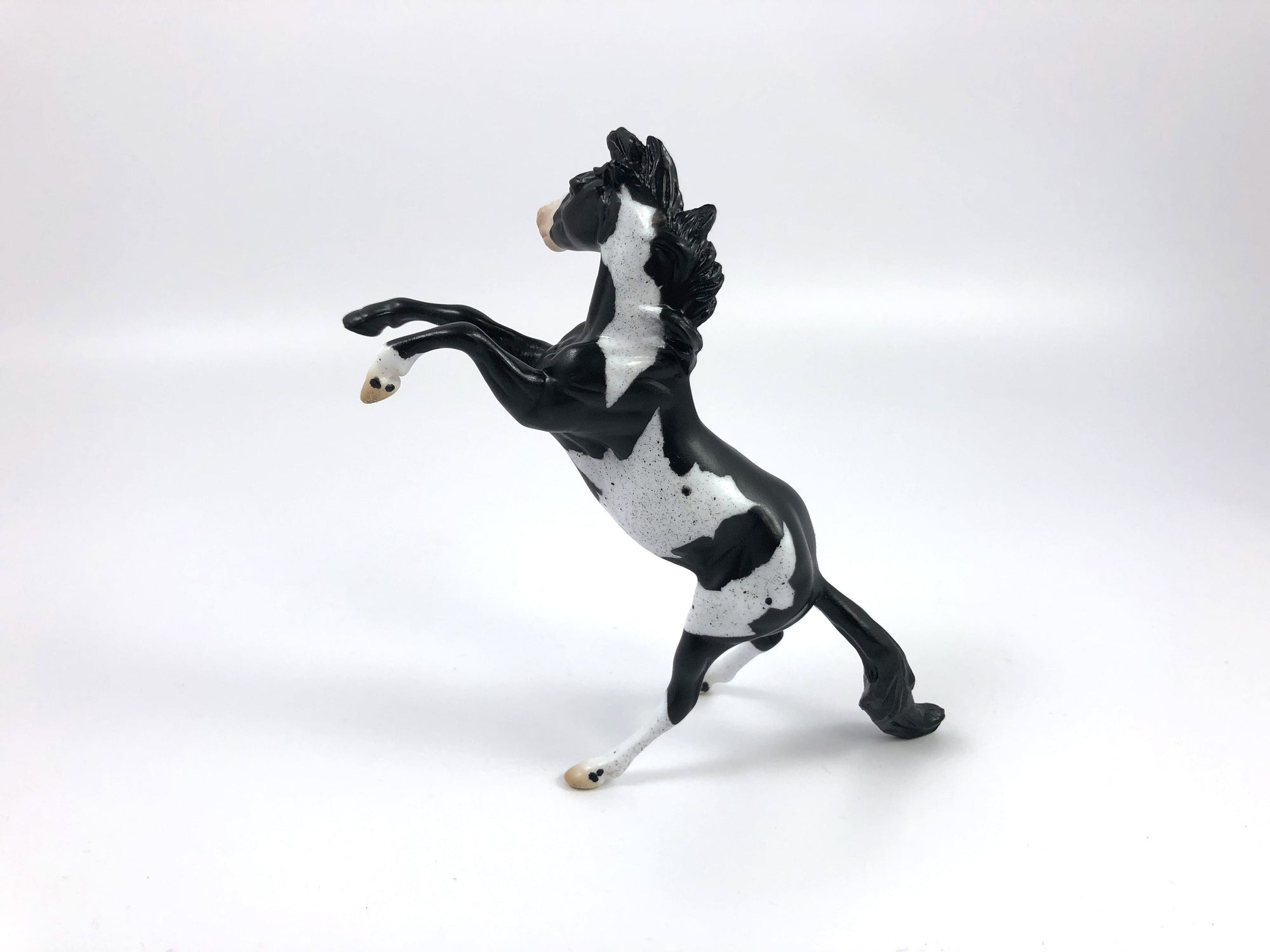 DRESS GORDON-OOAK MUSTANG REARING CHIP SHCF19