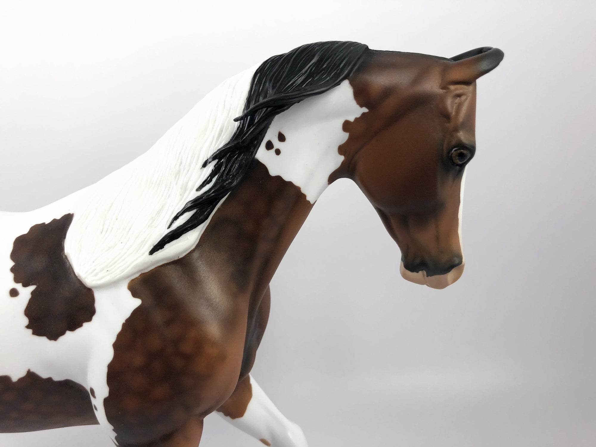 PARQUET-OOAK BAY TOBIANO MARWARI CUSTOM THOROUGHBRED MODEL HORSE BY AUDREY DIXON SHCF 19