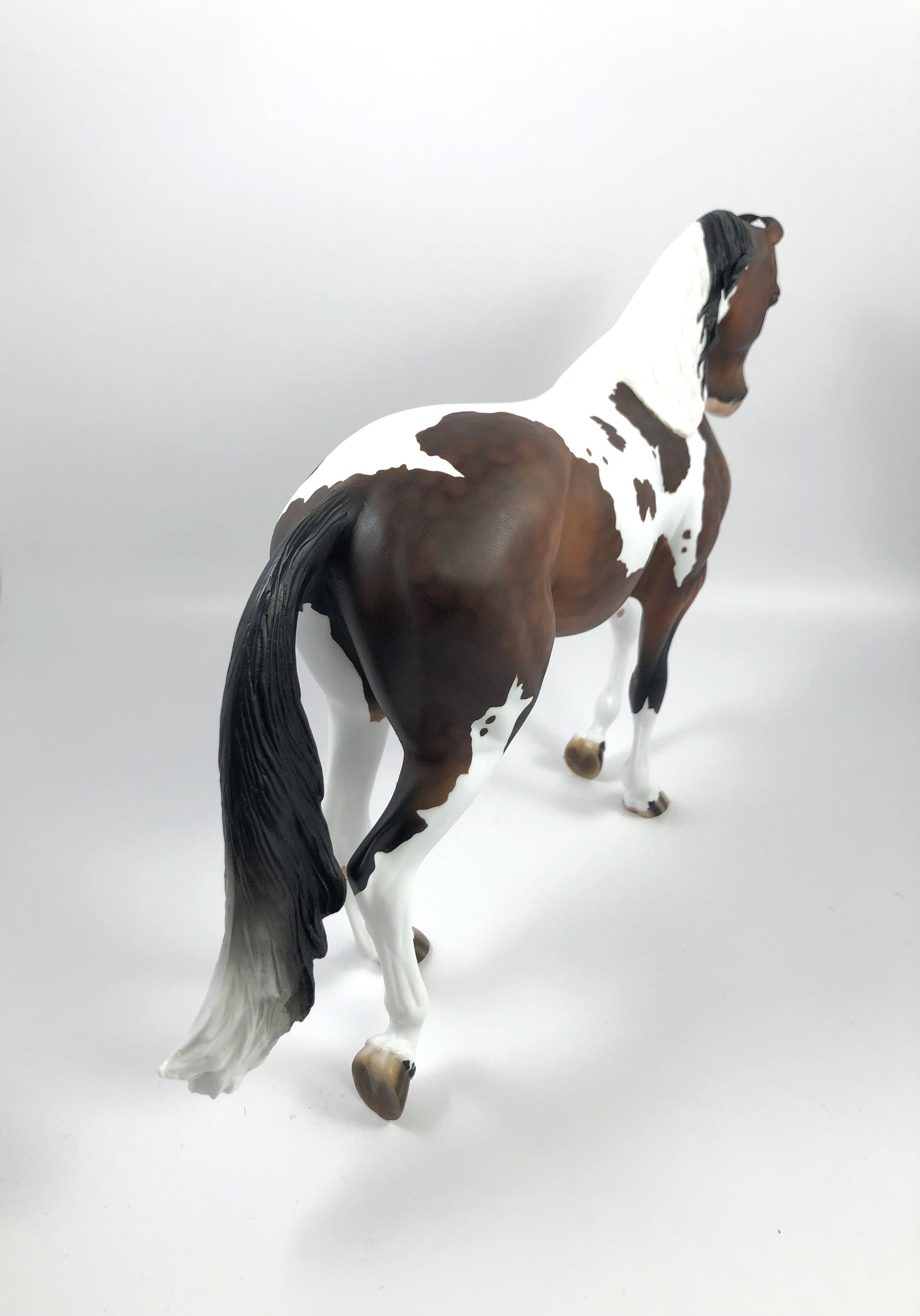 PARQUET-OOAK BAY TOBIANO MARWARI CUSTOM THOROUGHBRED MODEL HORSE BY AUDREY DIXON SHCF 19