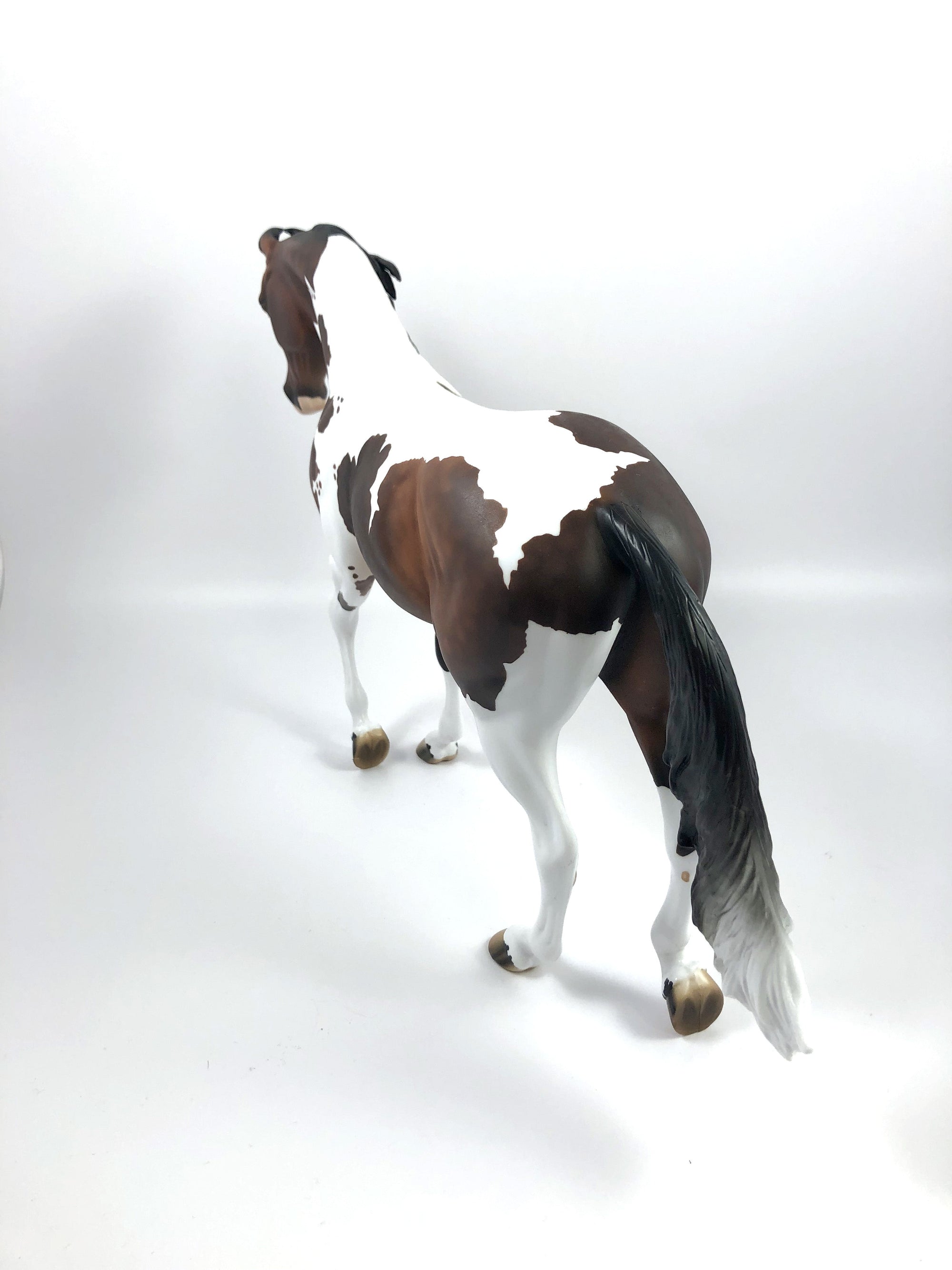 PARQUET-OOAK BAY TOBIANO MARWARI CUSTOM THOROUGHBRED MODEL HORSE BY AUDREY DIXON SHCF 19