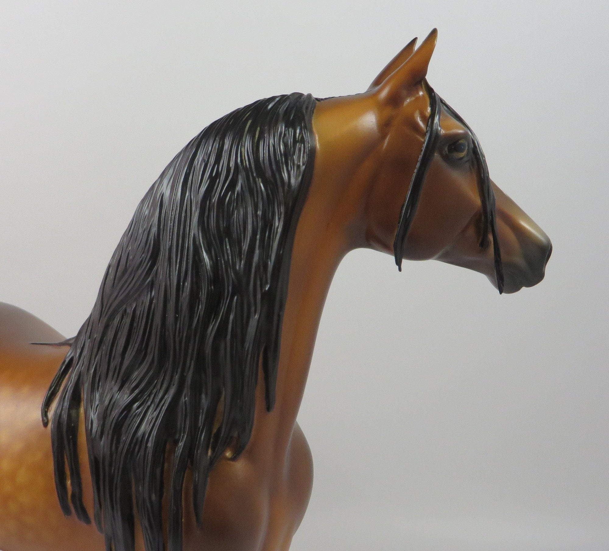 NESBITT-OOAK STAR DAPPLE BAY MORGAN MODEL HORSE BY SHERYL LEISURE 9/6/19