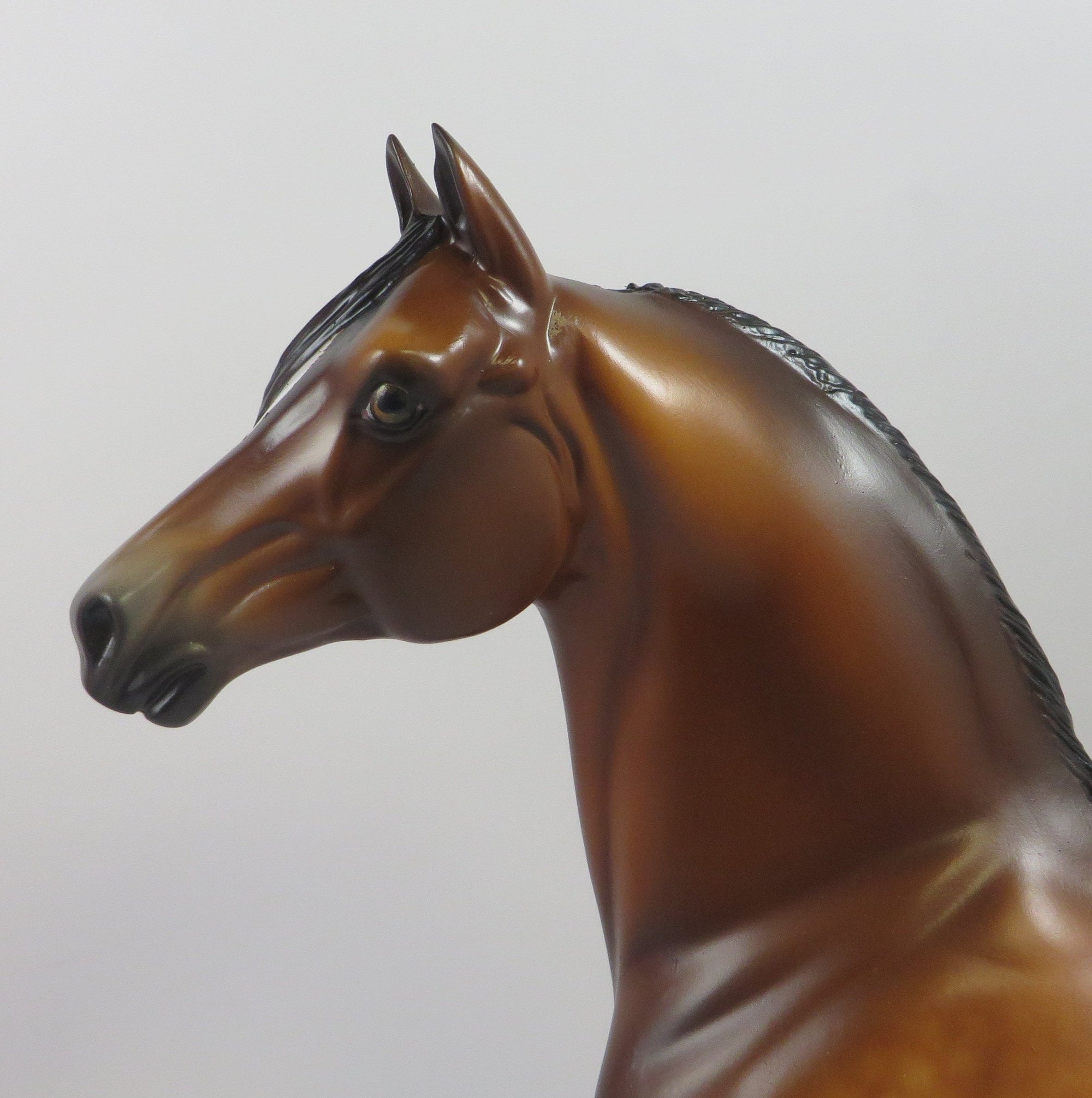 NESBITT-OOAK STAR DAPPLE BAY MORGAN MODEL HORSE BY SHERYL LEISURE 9/6/19